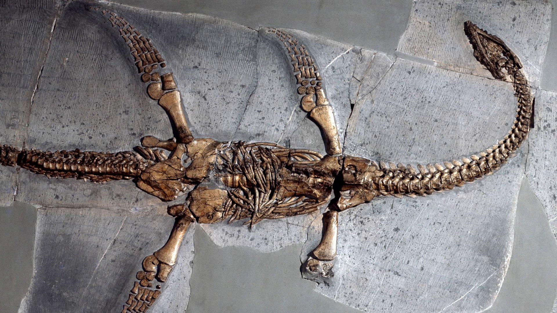 1. History's Greatest Mysteries