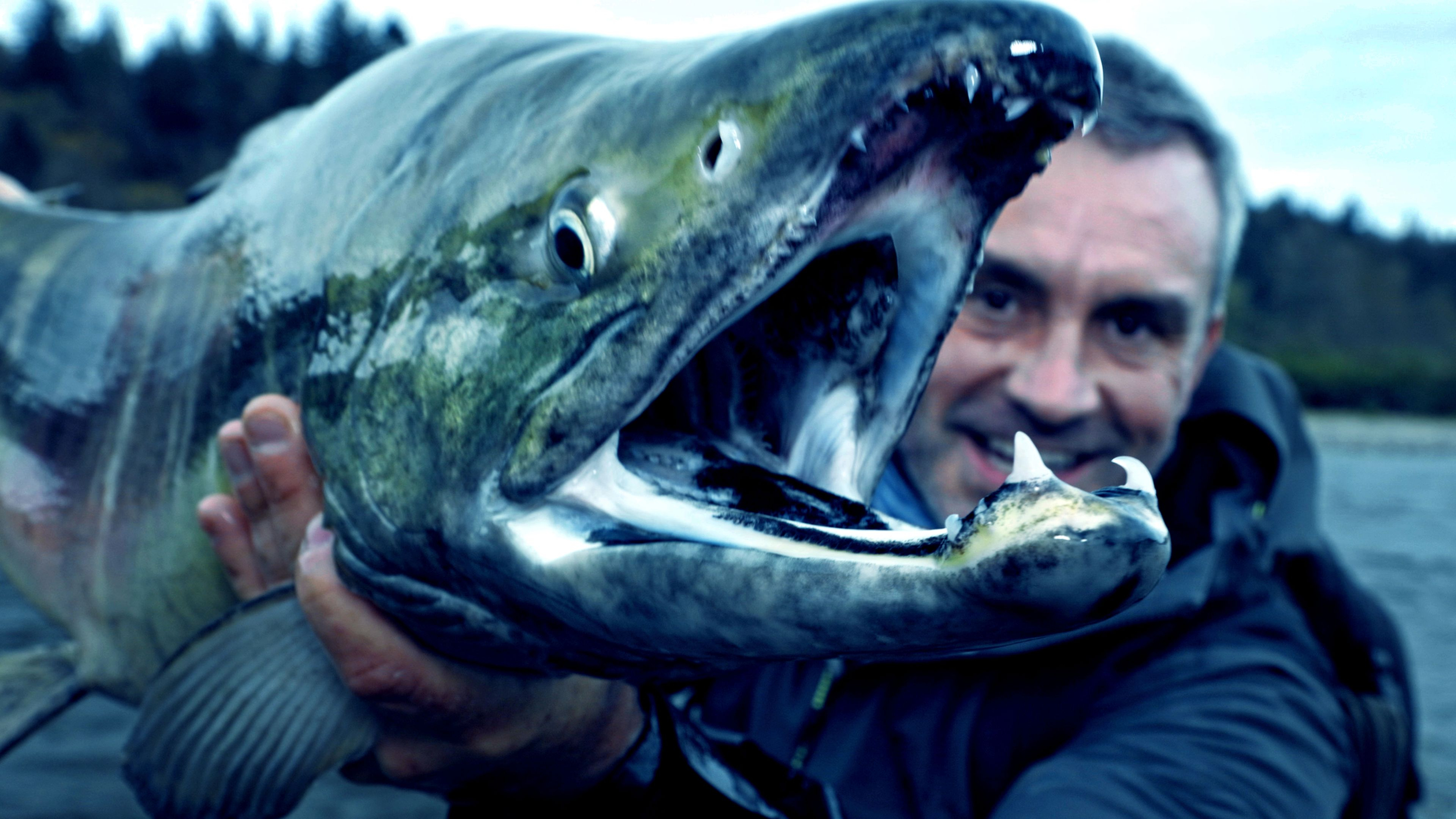 Die letzten Giganten: Riesenfische