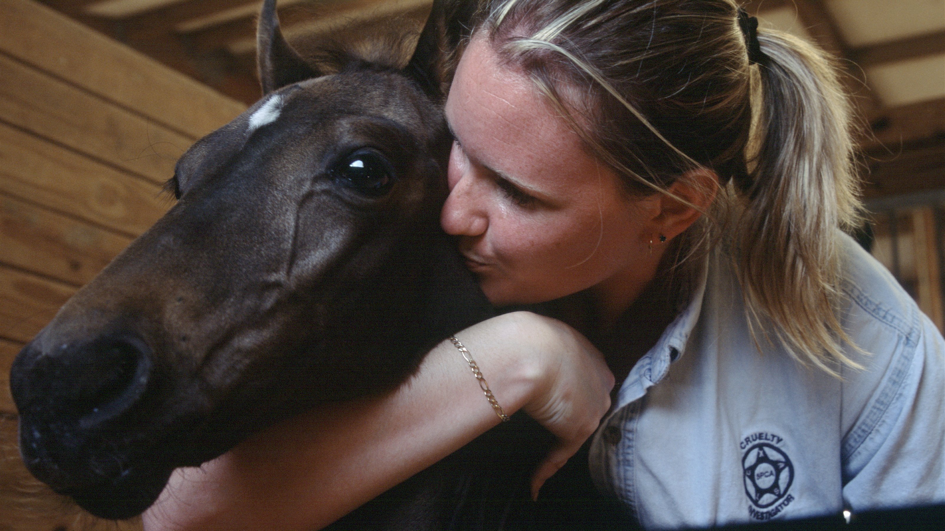 5. The Stallion Survivor