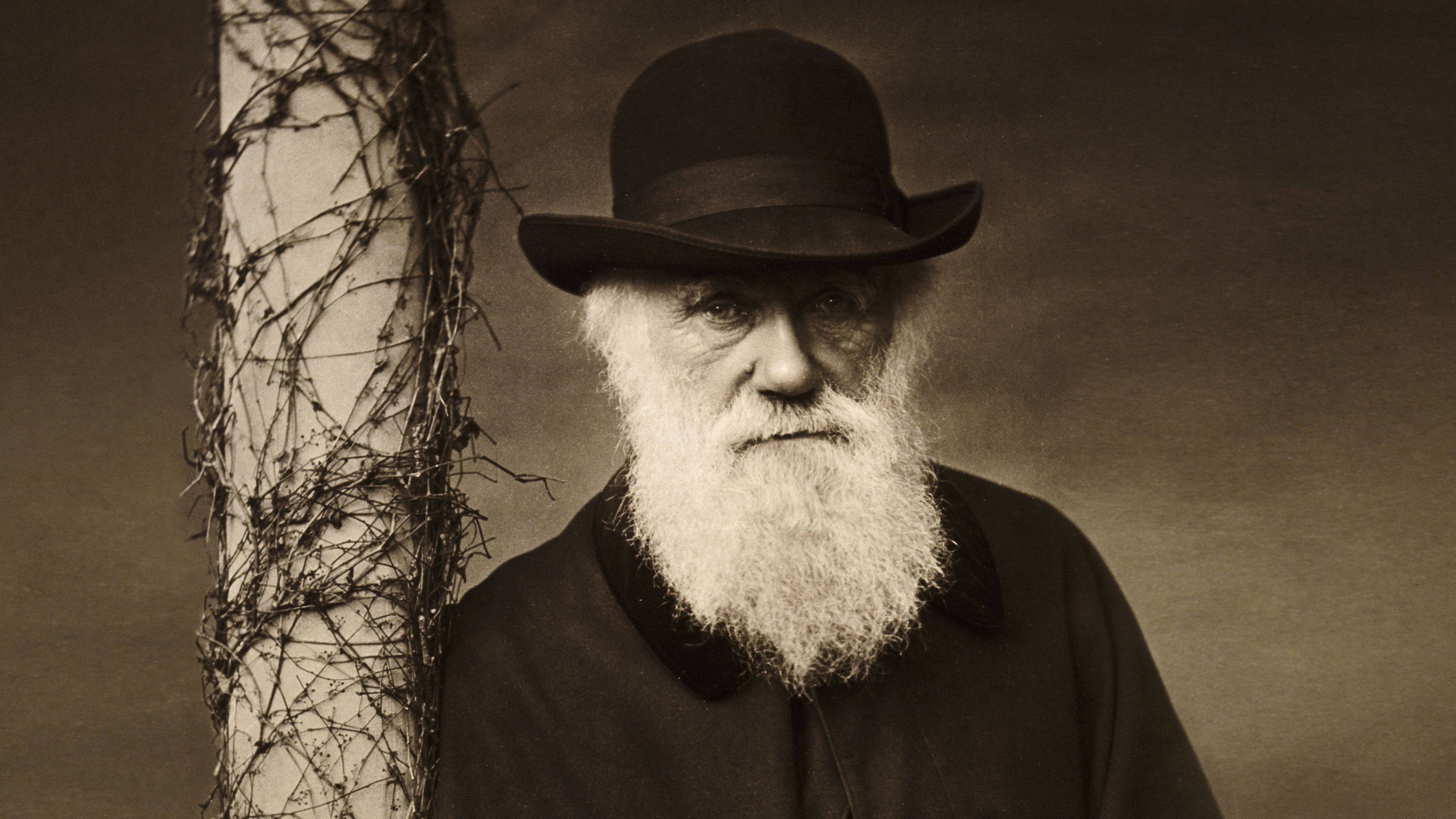 Questioning Darwin