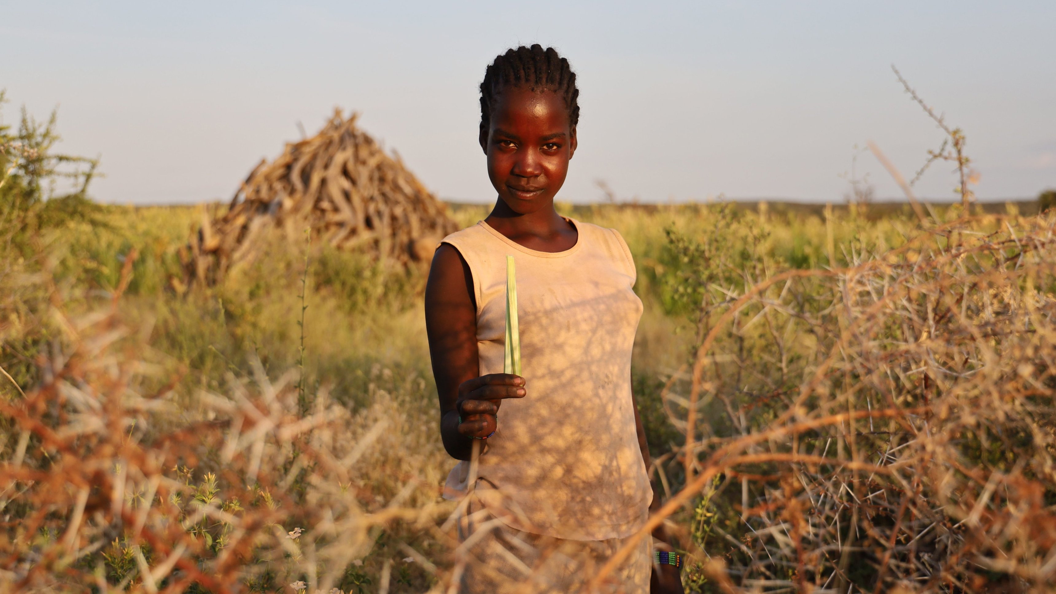 3. Tanzania