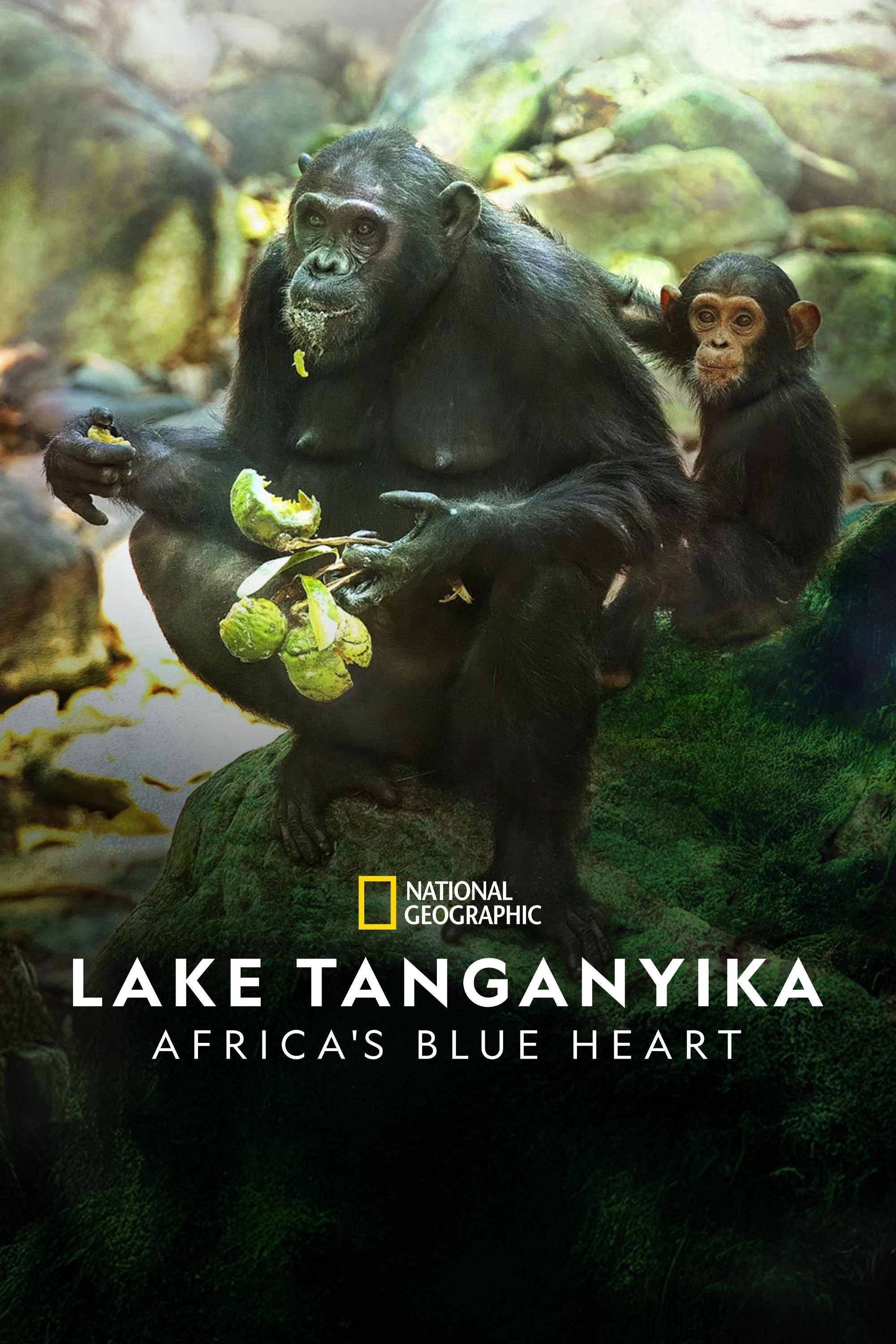 Lake Tanganyika: Africa's Blue Heart