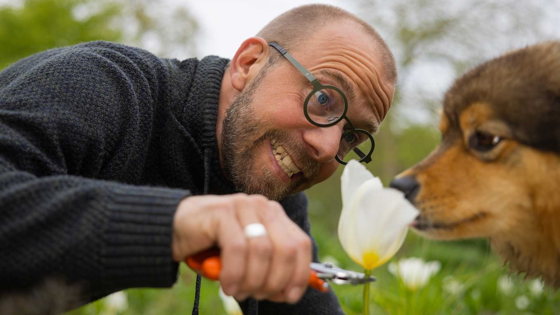 6. Beskärning av fruktträd
