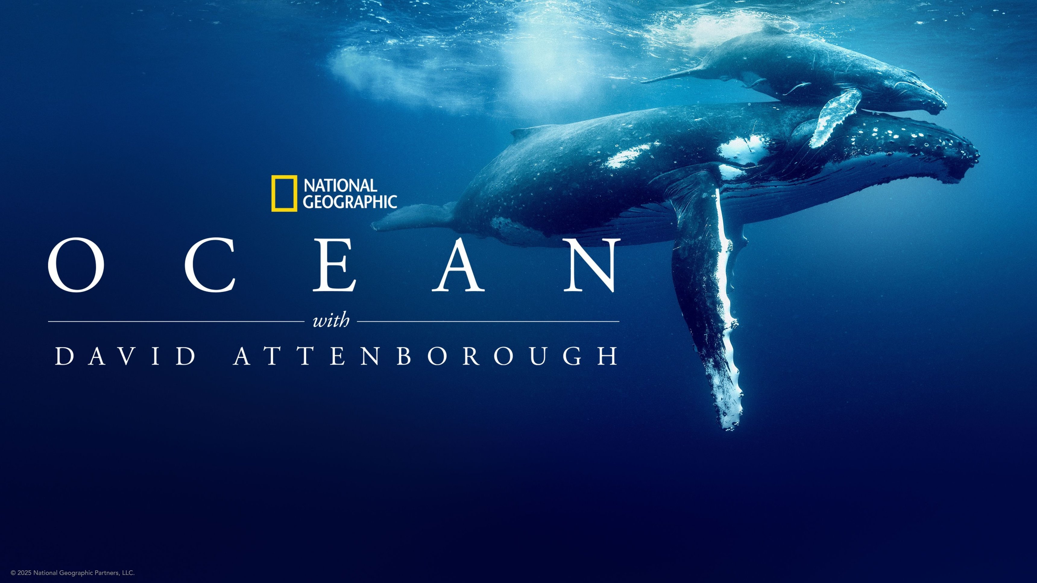 Ocean with David Attenborough