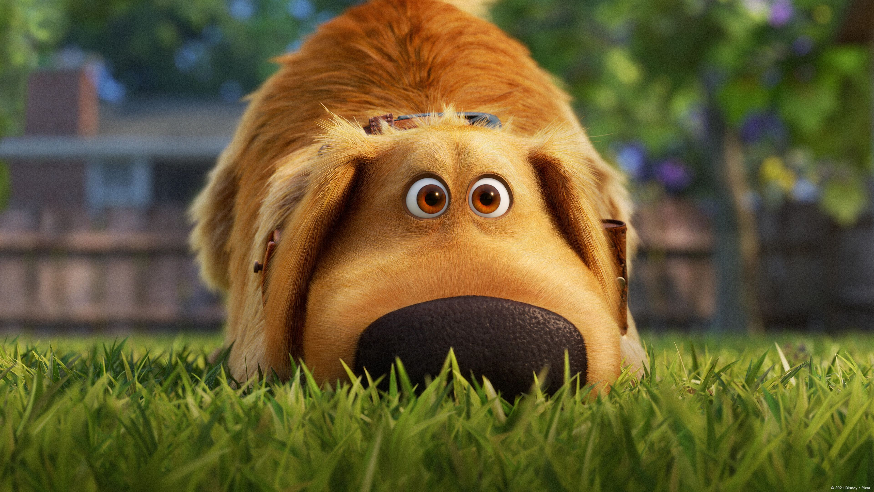 Dogges dagar