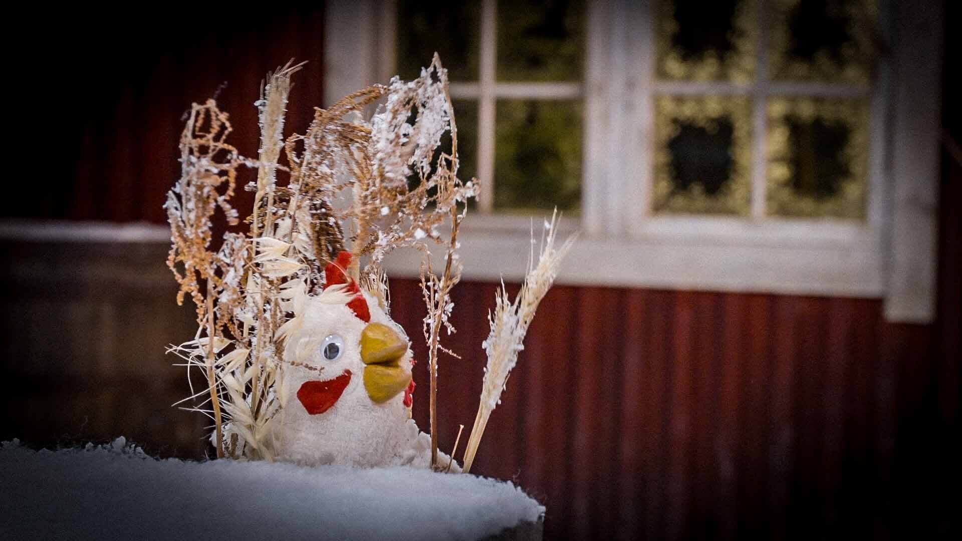 11. Draksökare som smakar