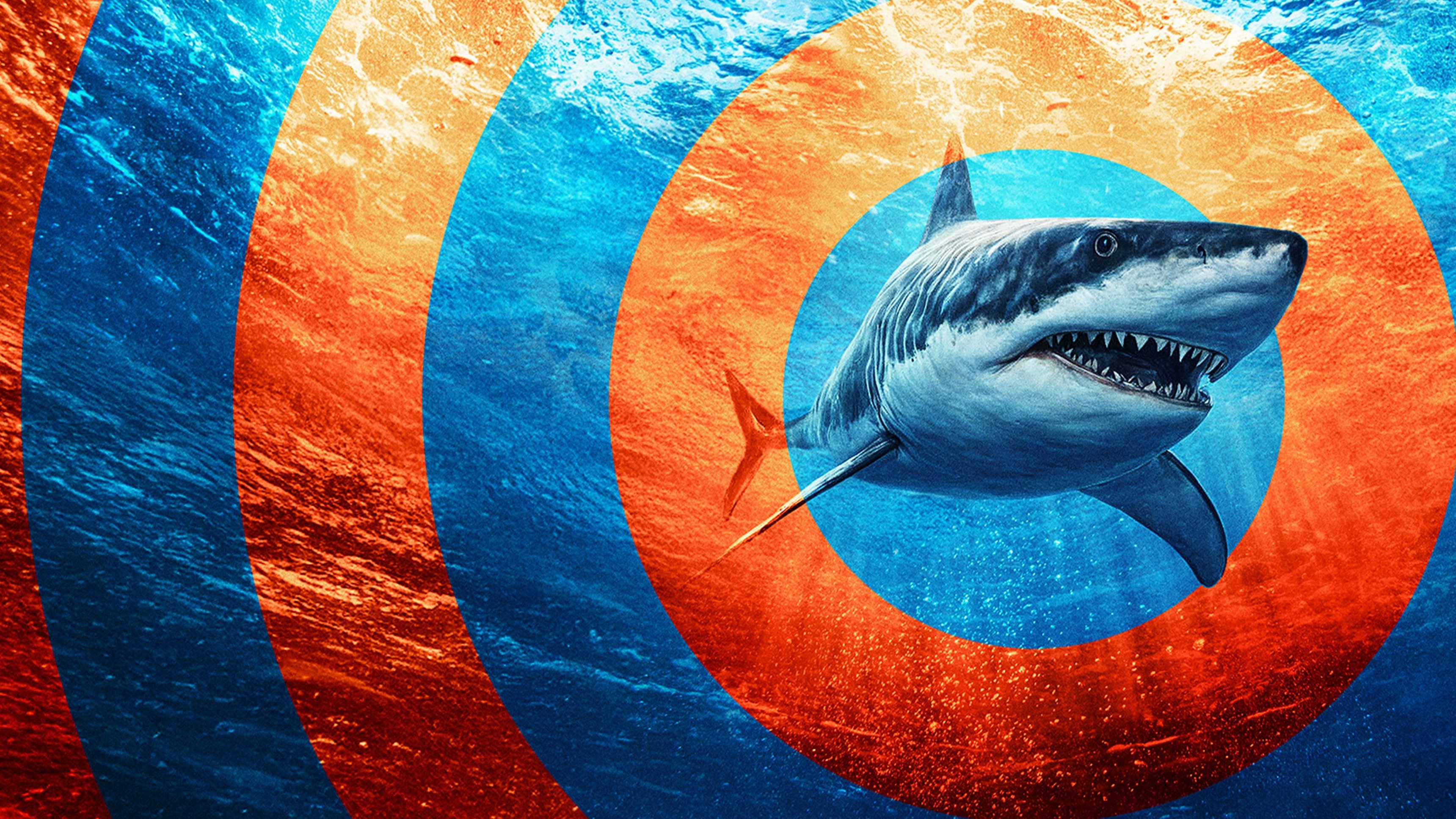 In the Eye of the Storm: Shark Storm