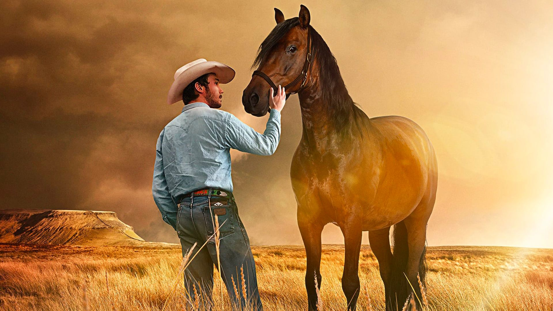 The rider