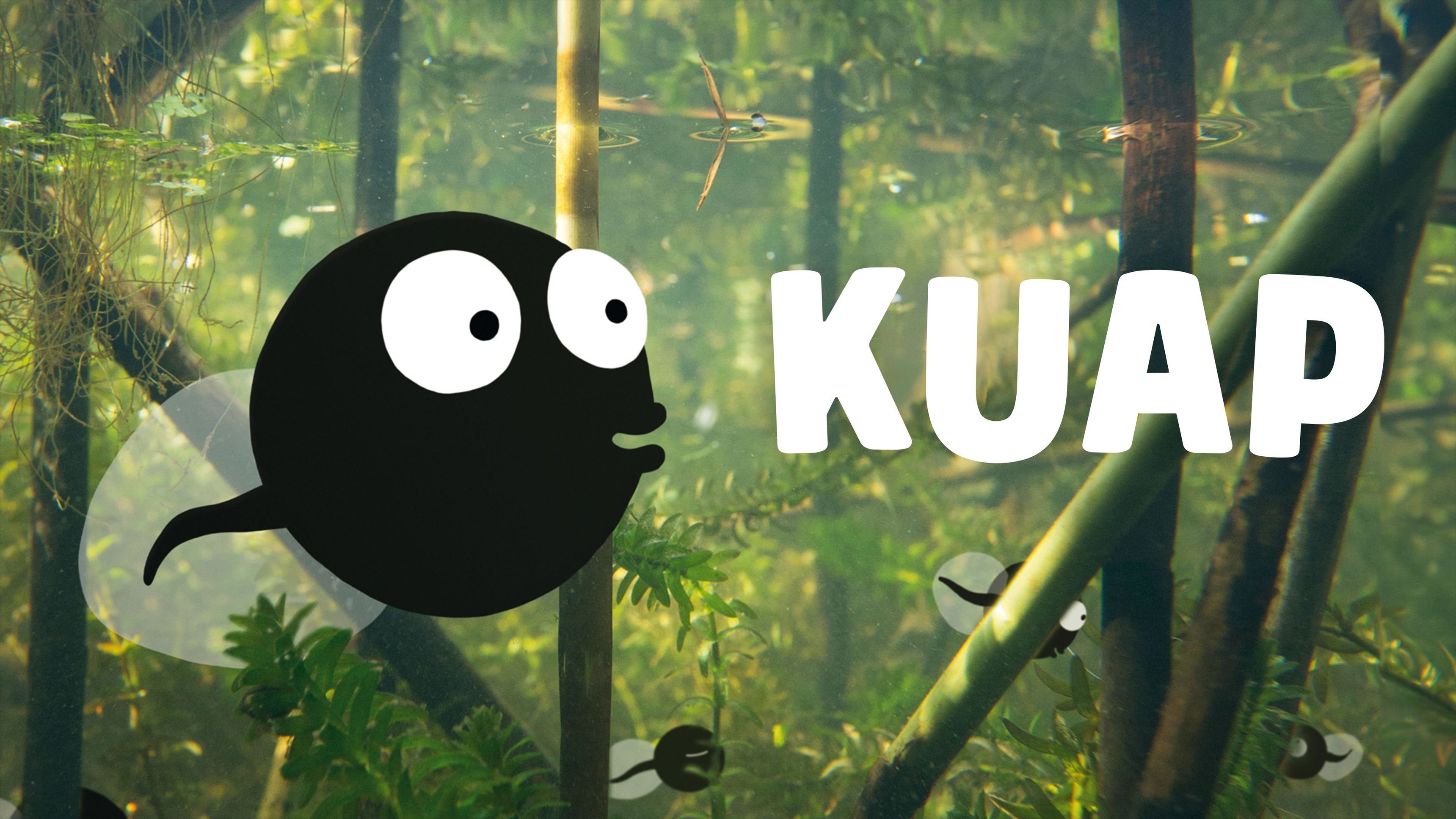 Kuap