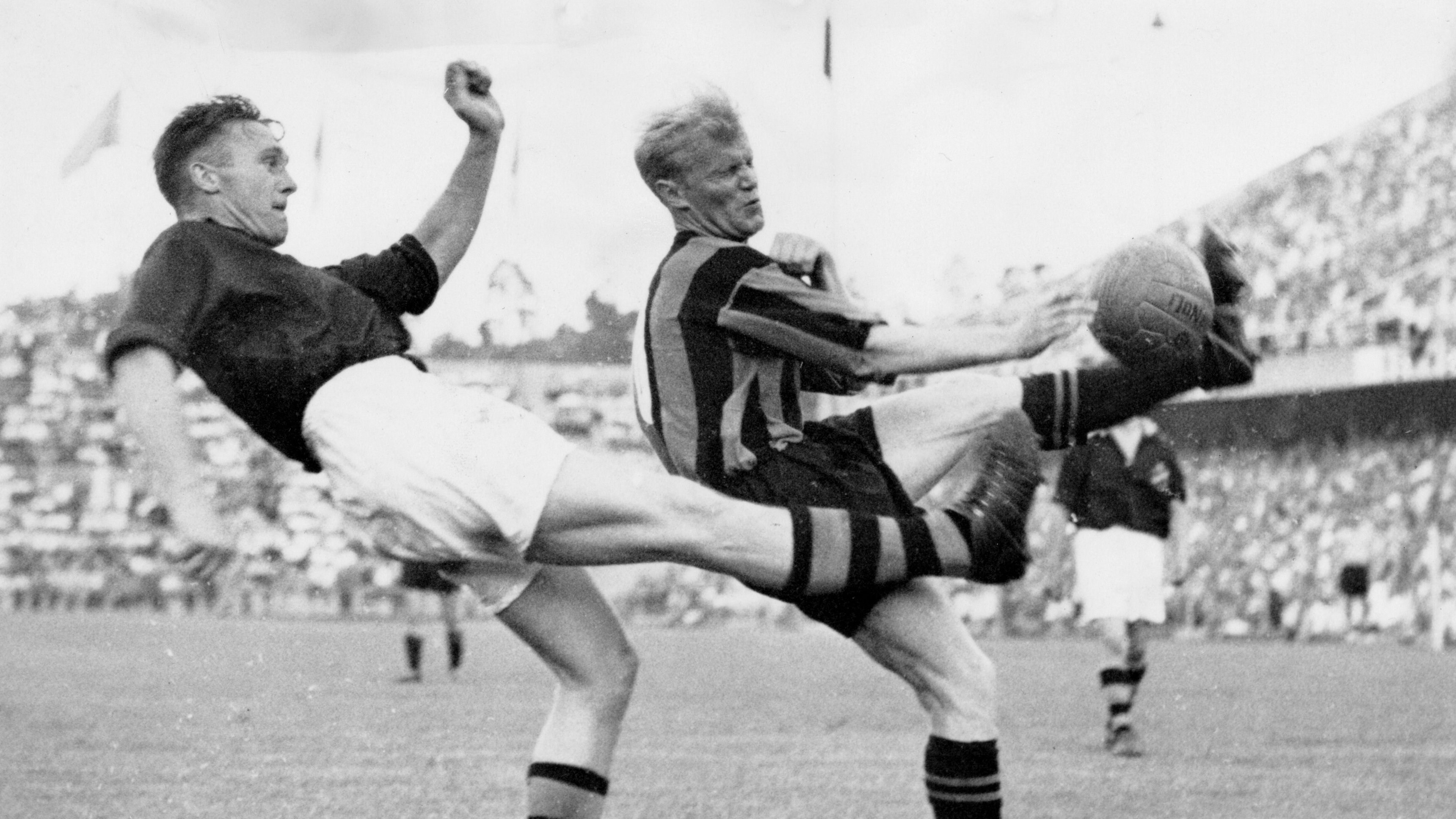 Nacka - myten och människan