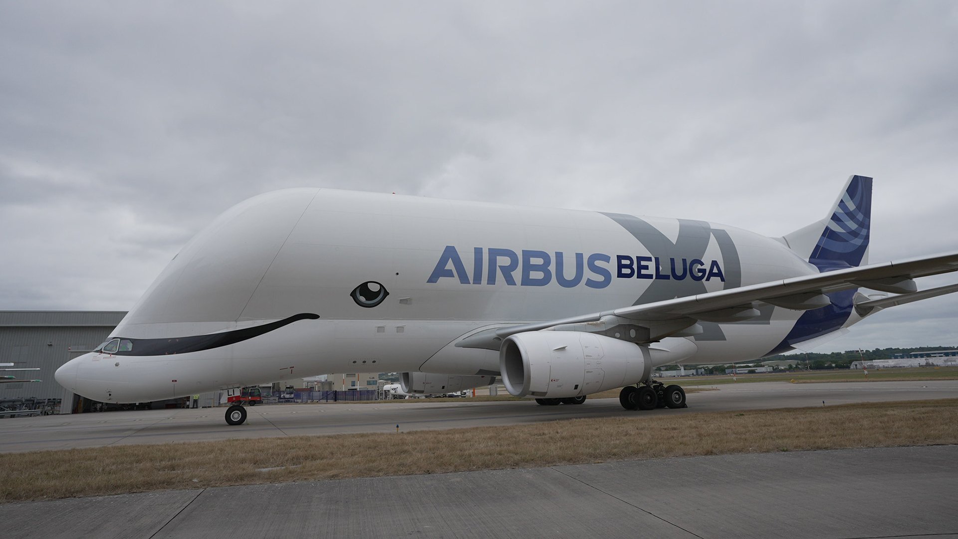 9. Beluga