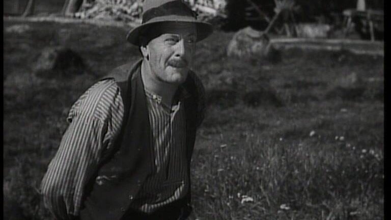 Åsa-Nisse och tjocka släkten