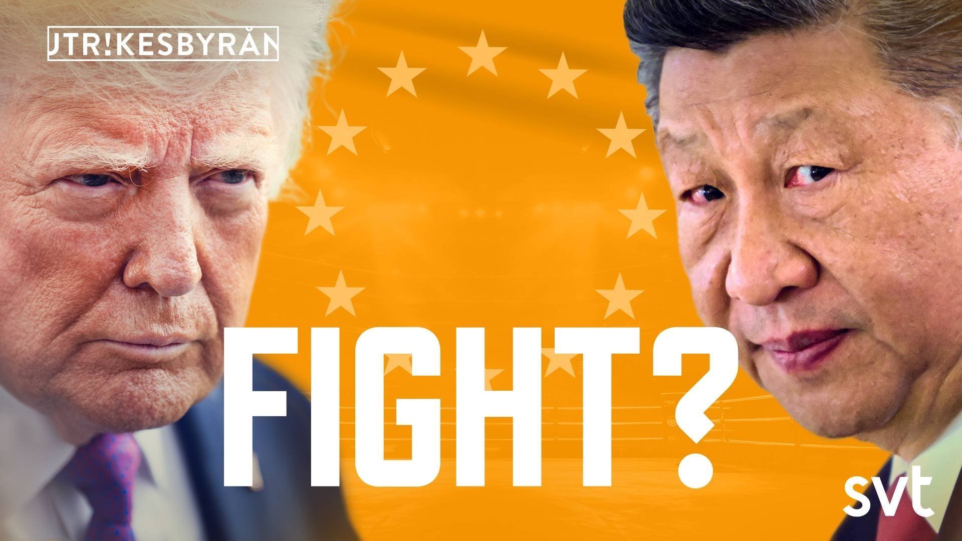 Fight?