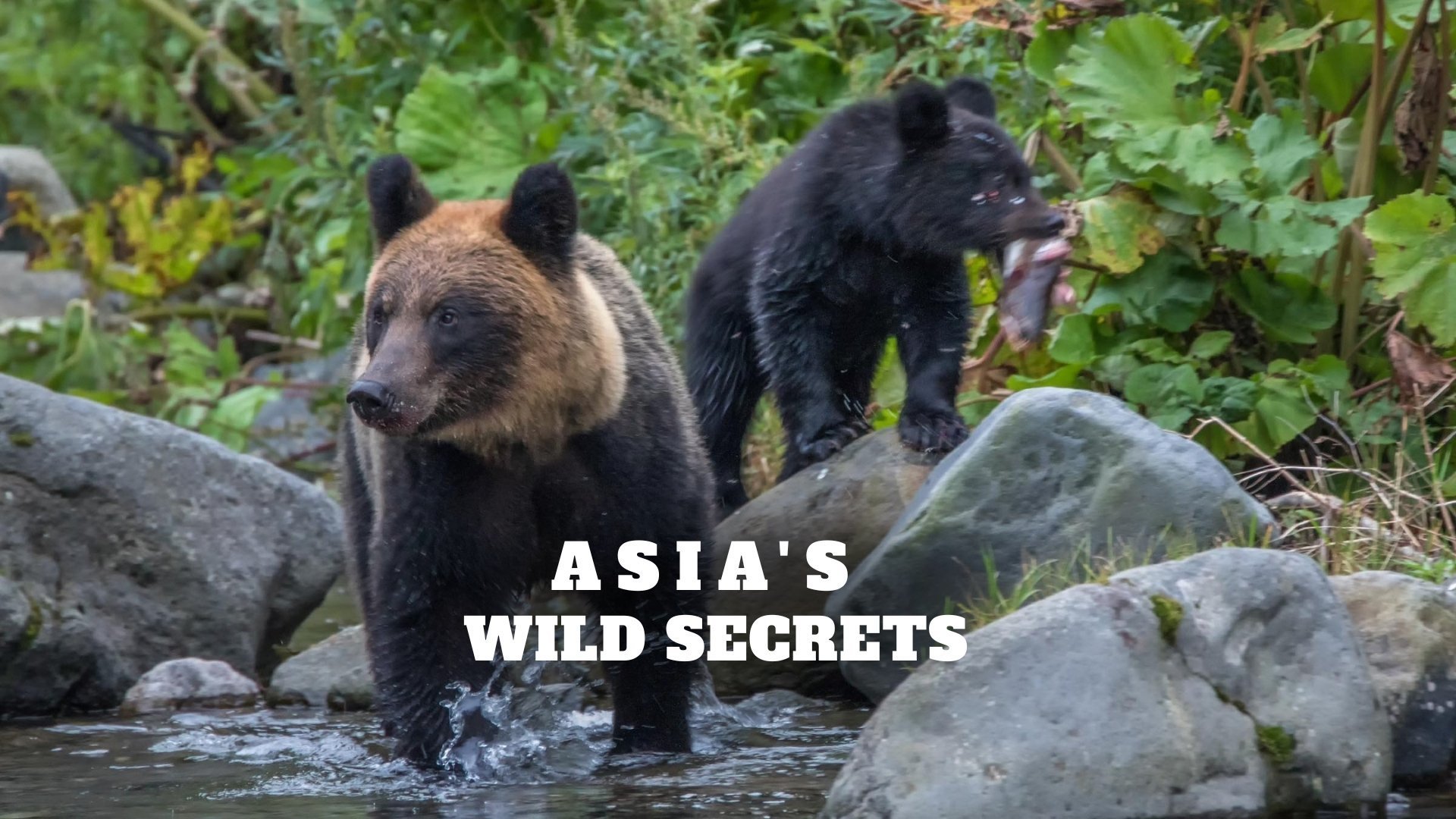 Asia's Wild Secrets