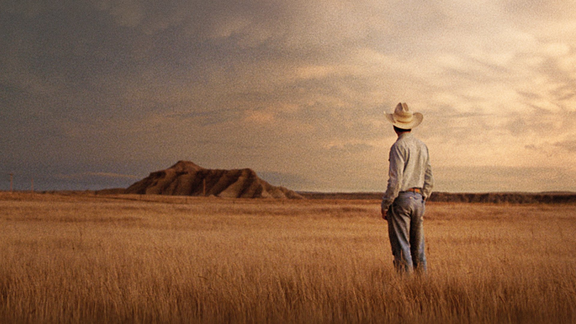 The rider