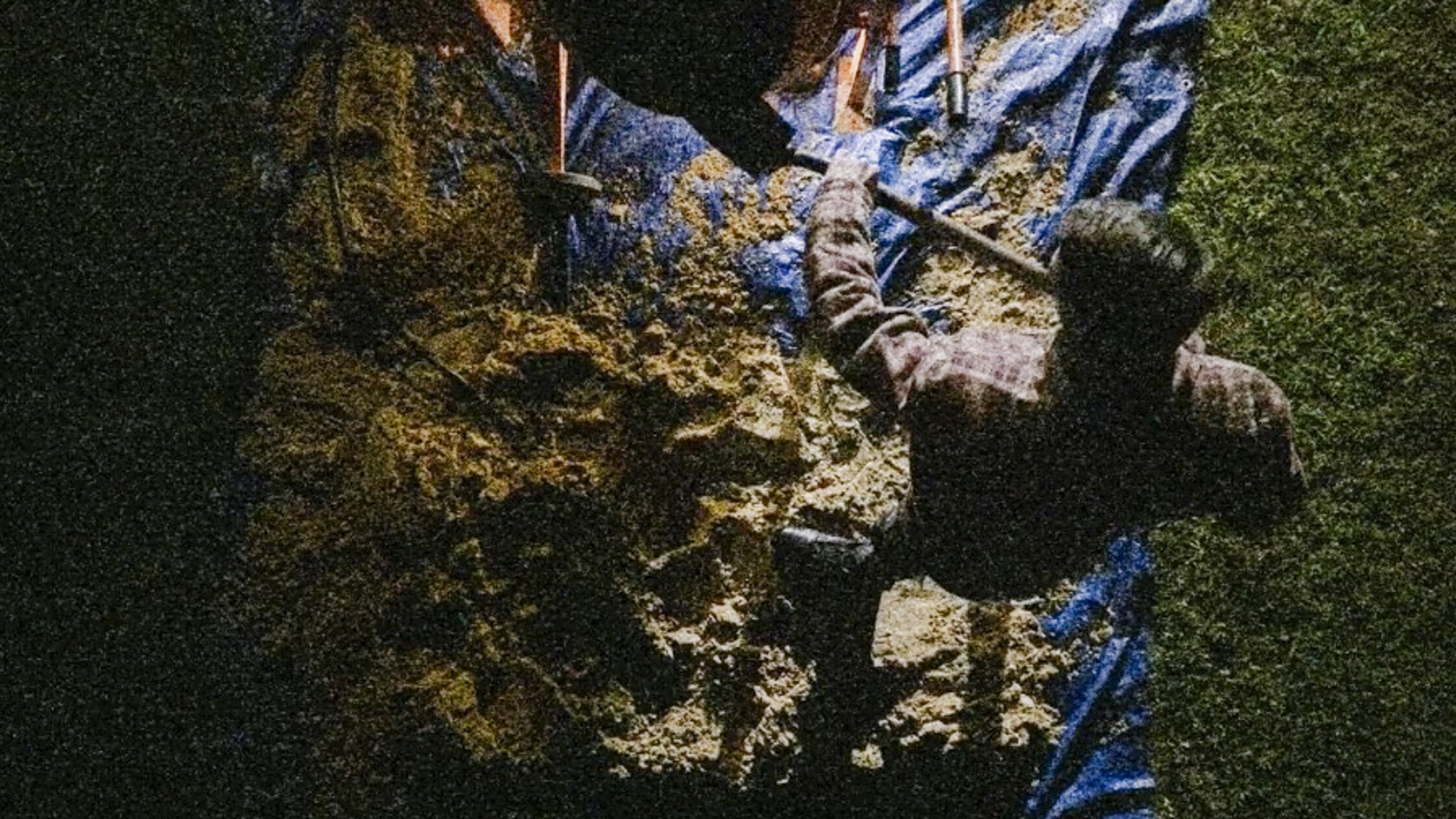 1. Cemented In Fear