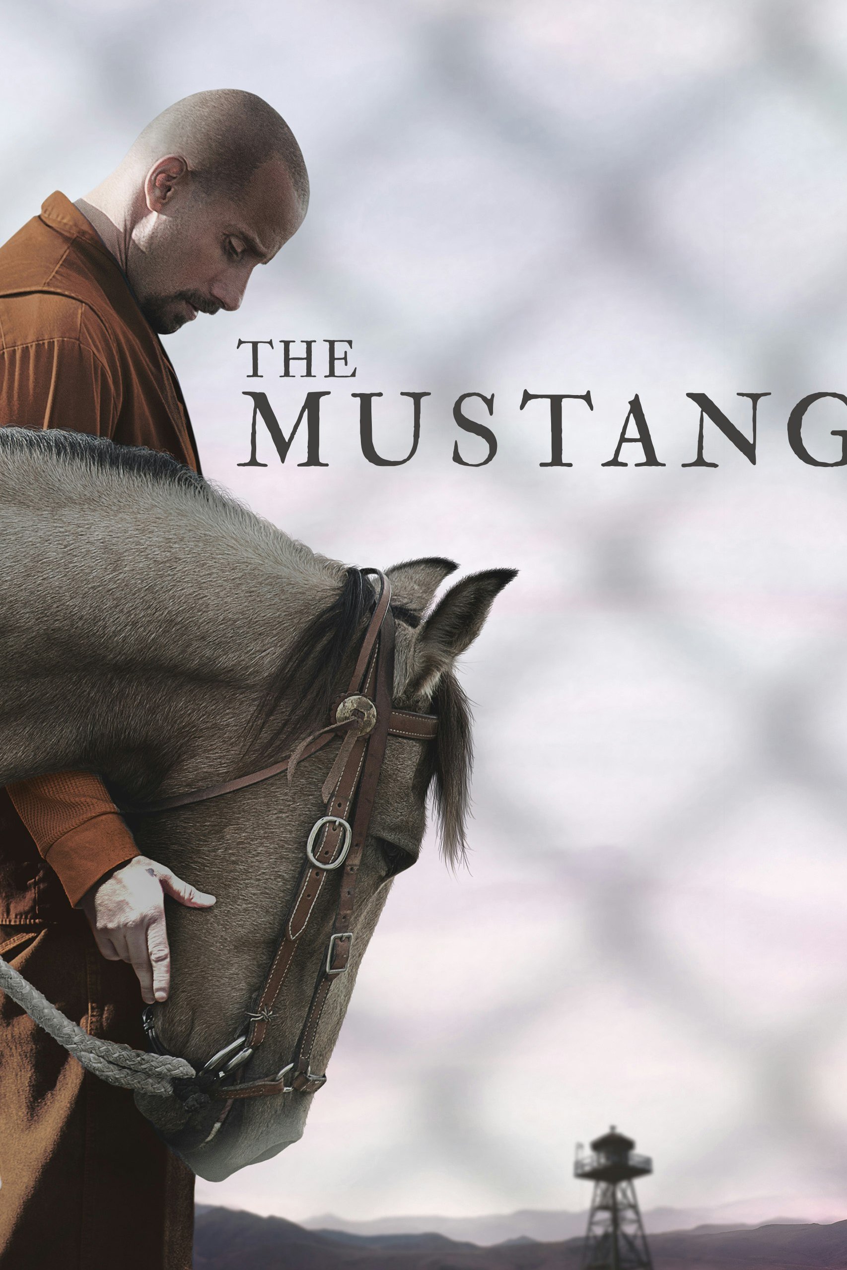 The Mustang