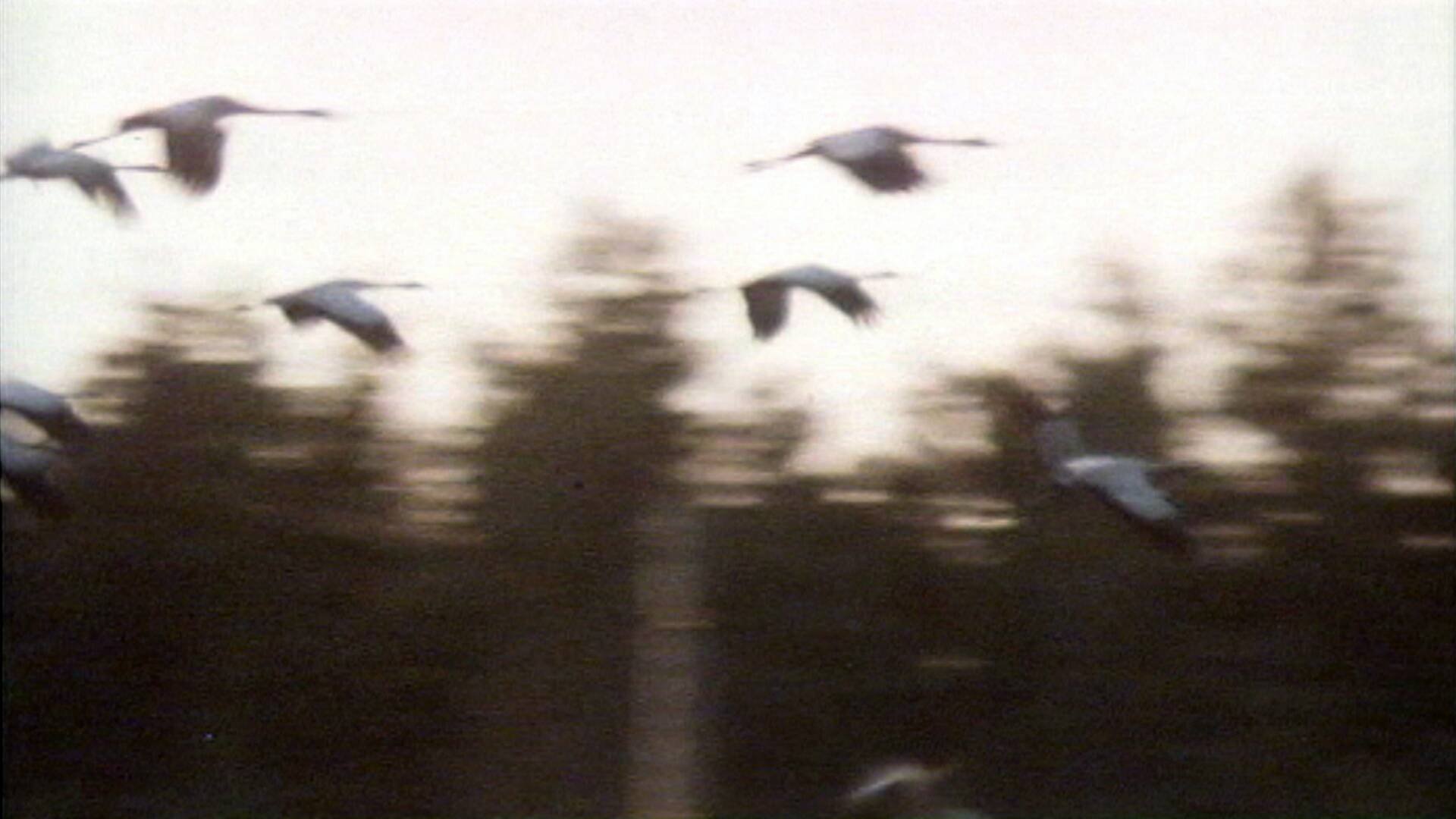 Sent om hösten - En dag i Sverige