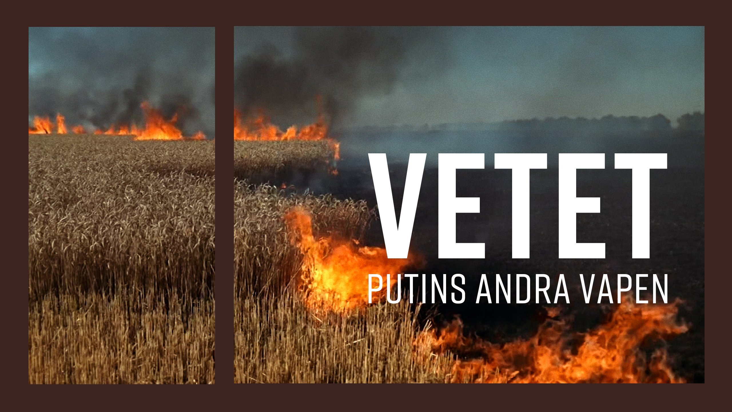 Dokument utifrån: Vetet - Putins andra vapen