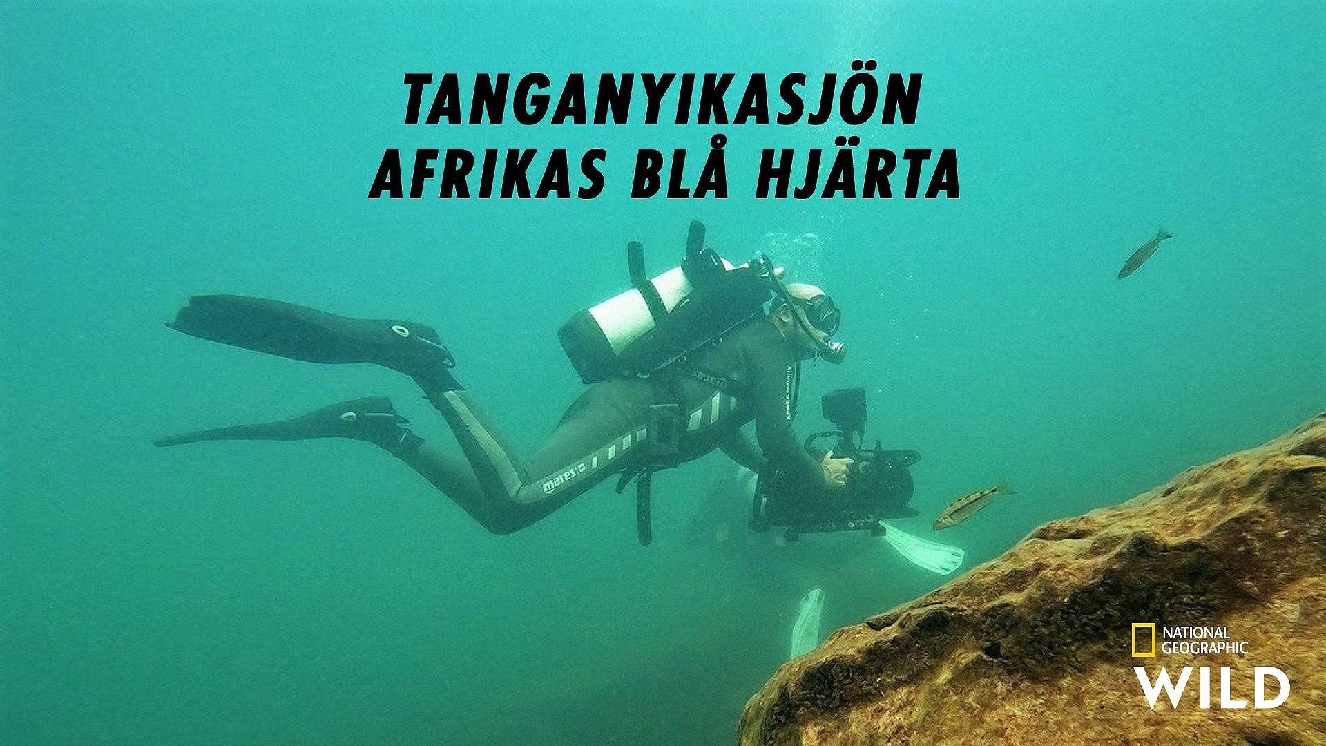 Tanganyikasjön: Afrikas blå hjärta