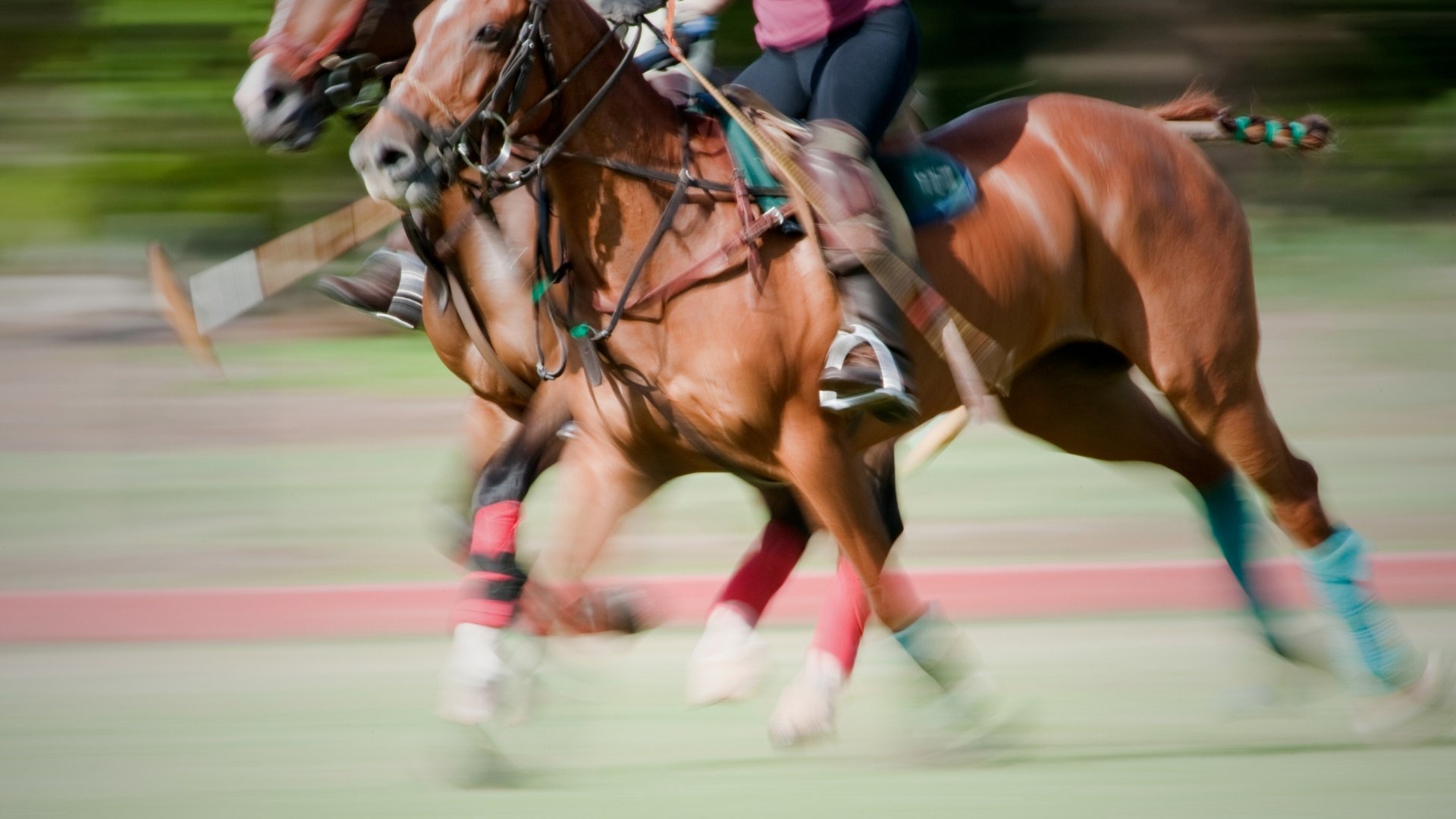 The Westchester Cup 2023