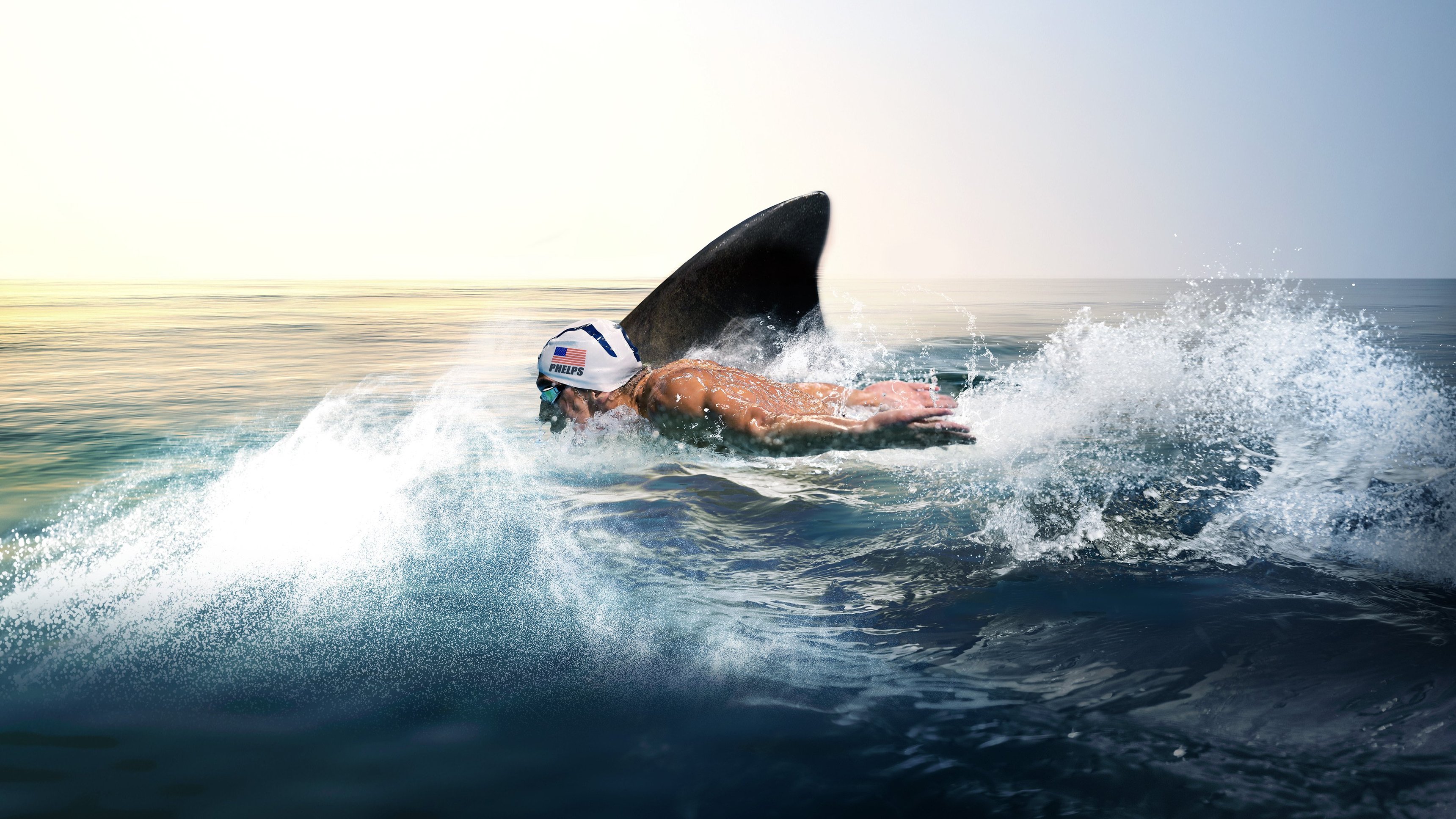 Phelps Vs Shark