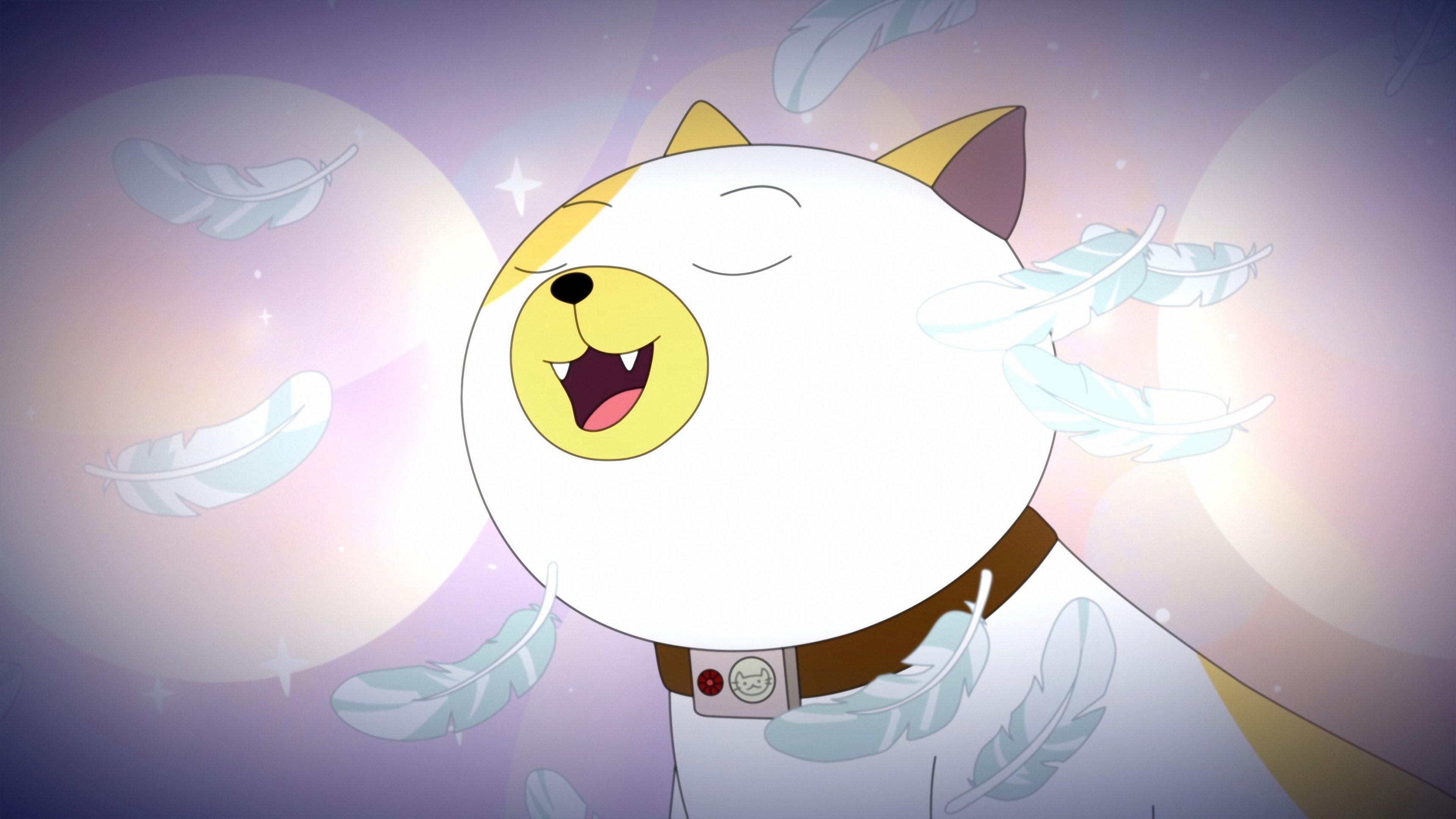3. Cake The Cat