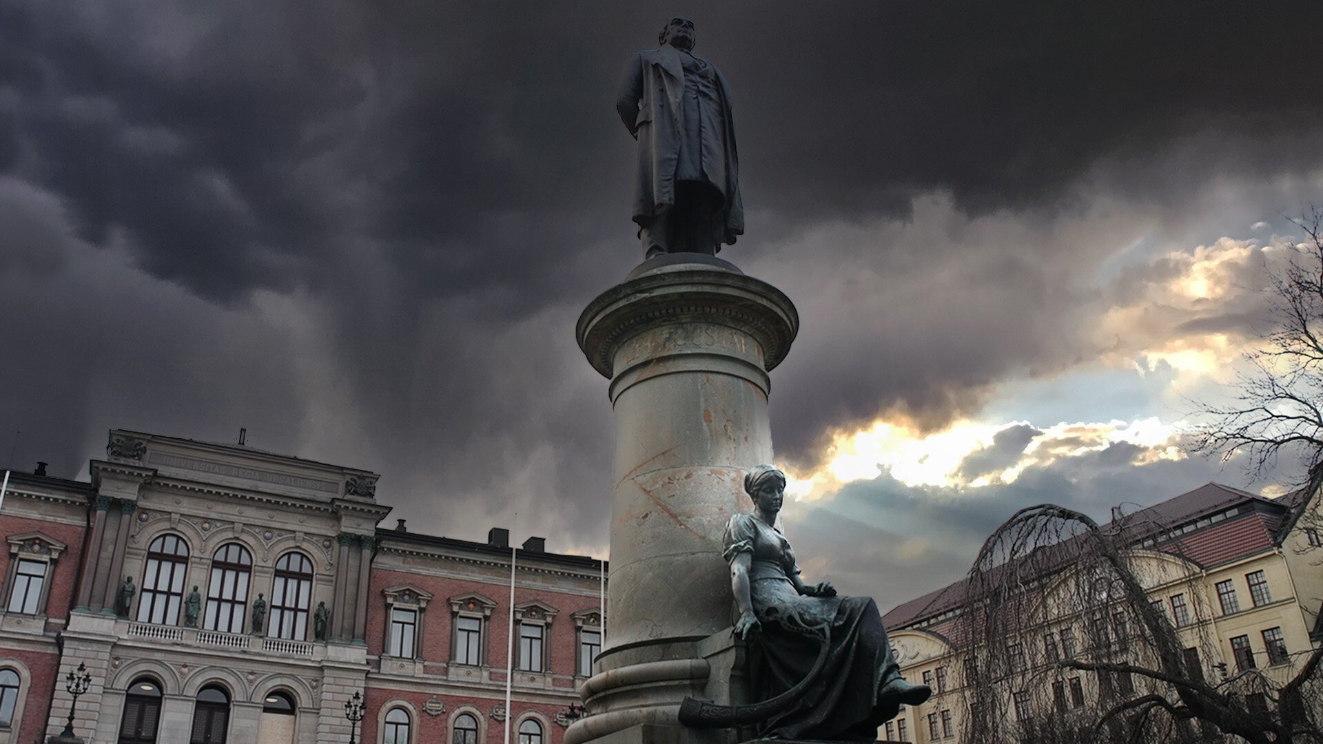 Kalla fakta: Männens akademi