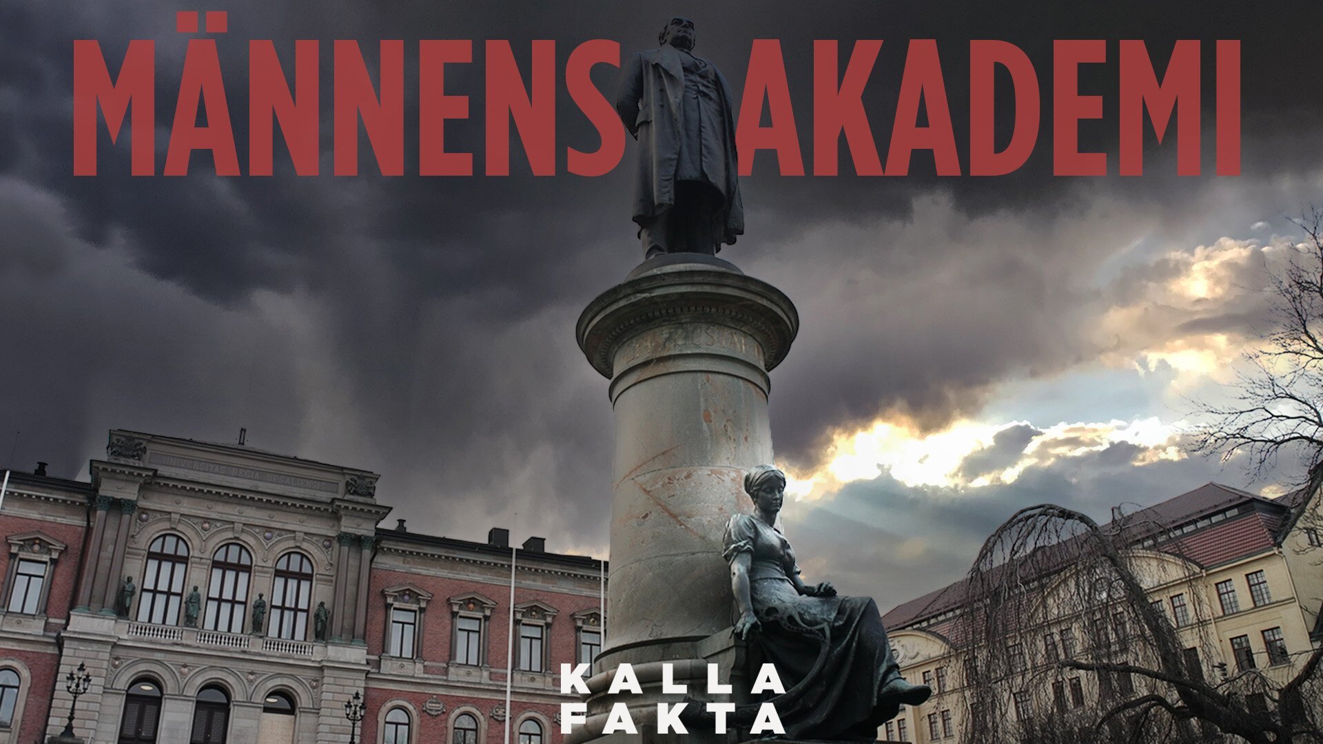 Kalla fakta: Männens akademi