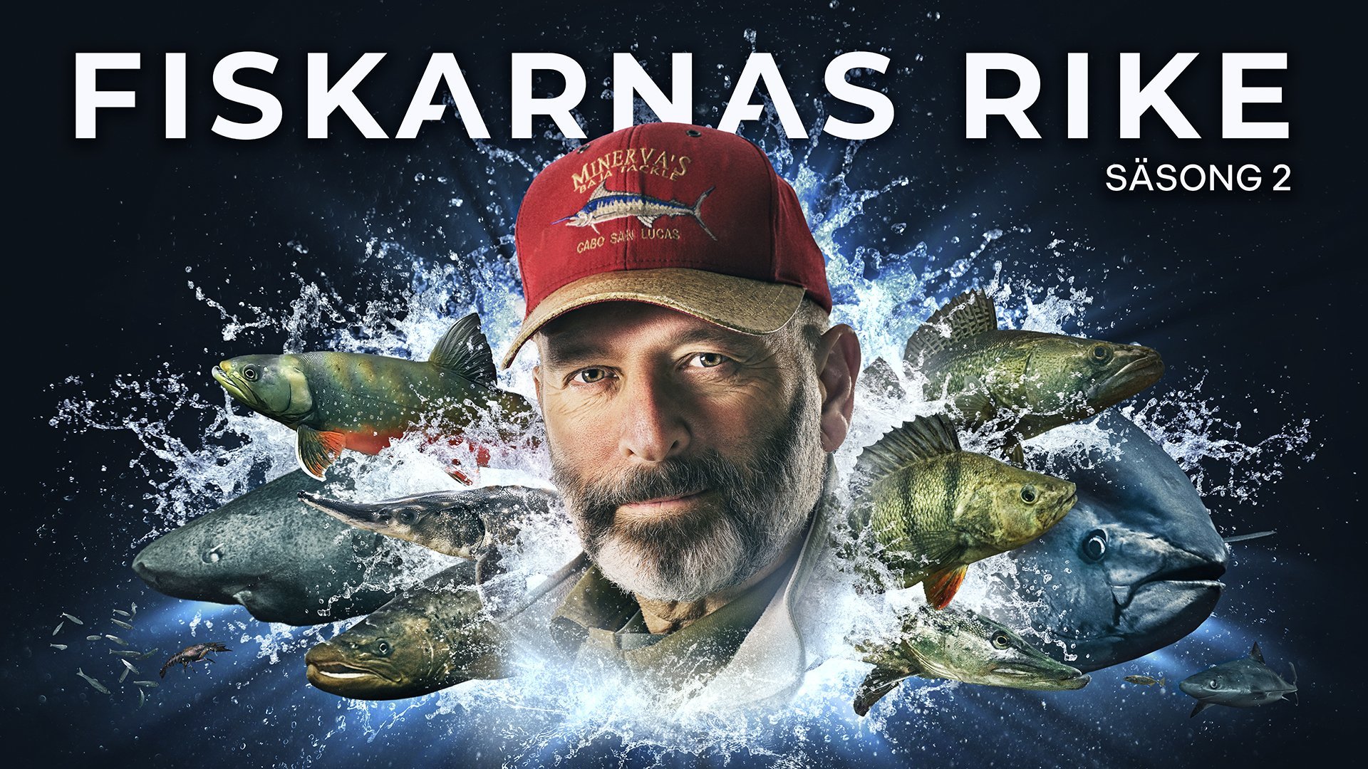Fiskarnas rike