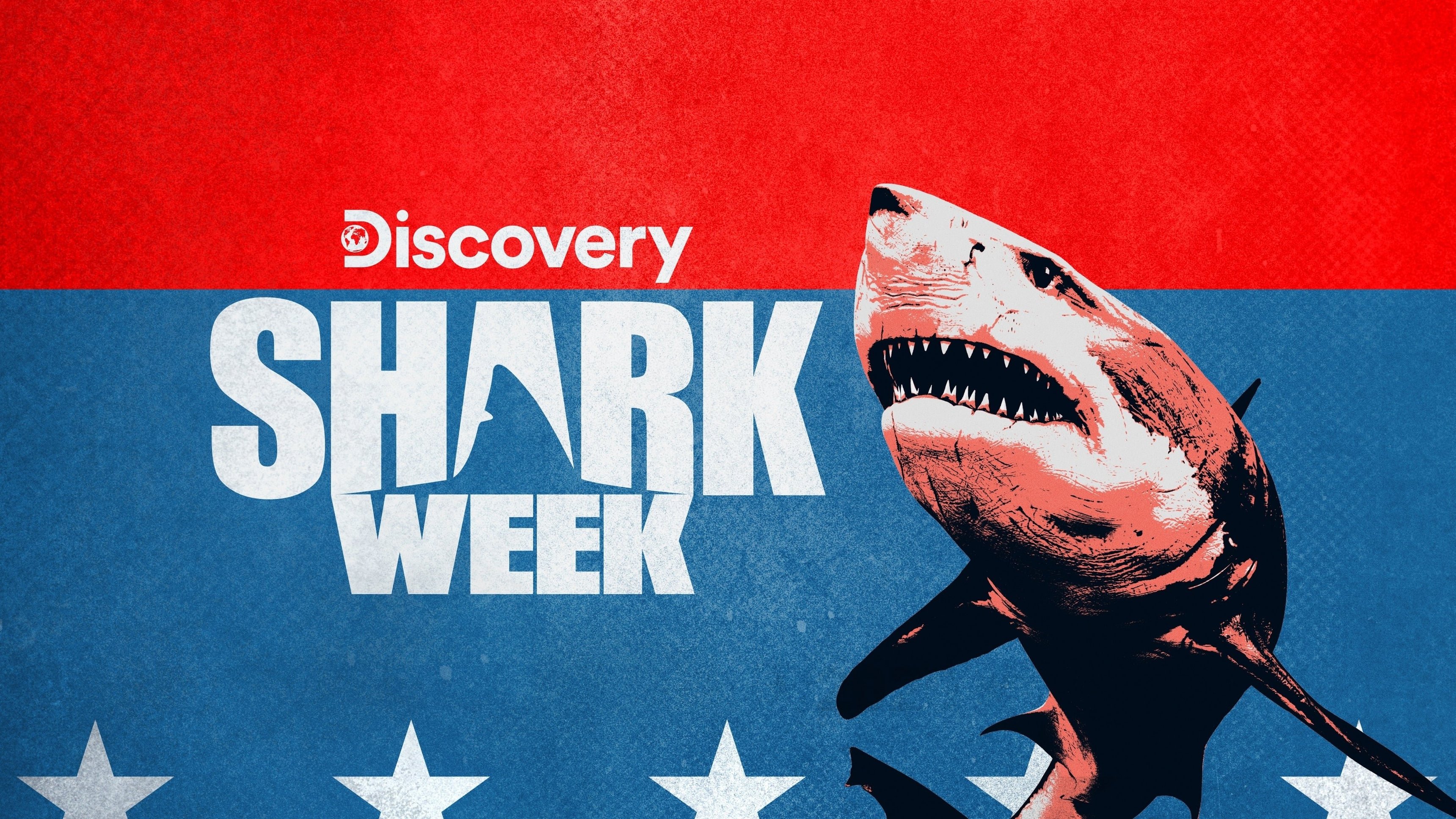 Shark Attack Files