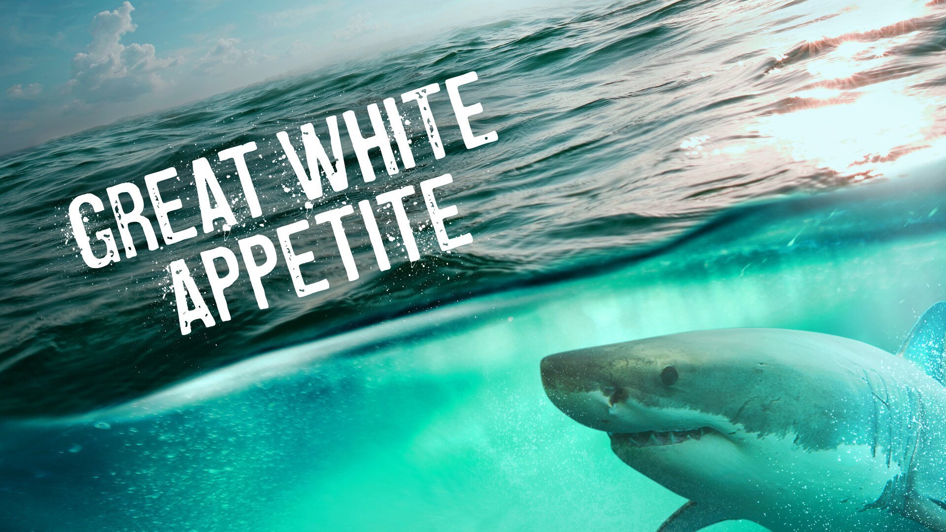 Great White Appetite