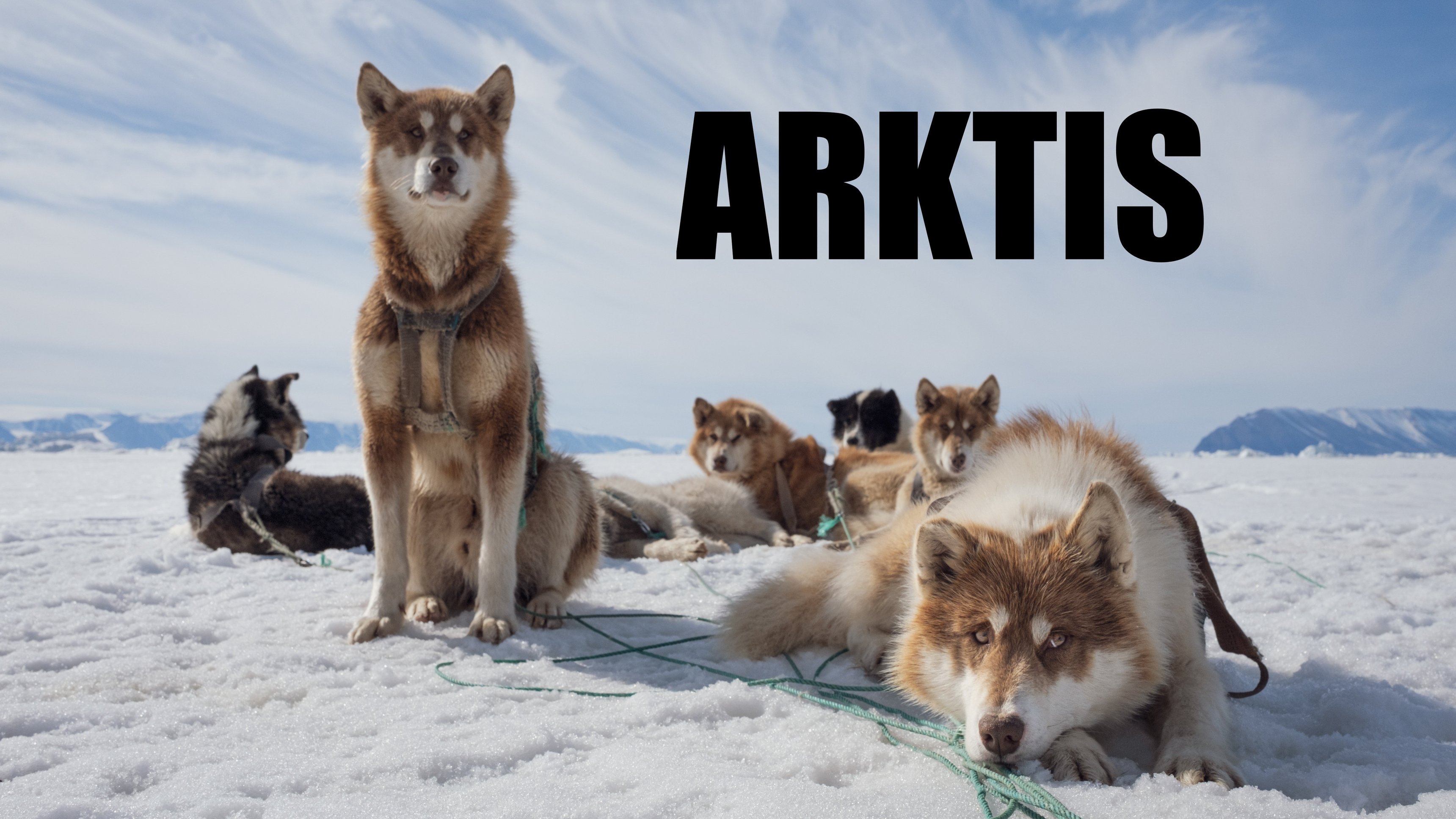 Arktis