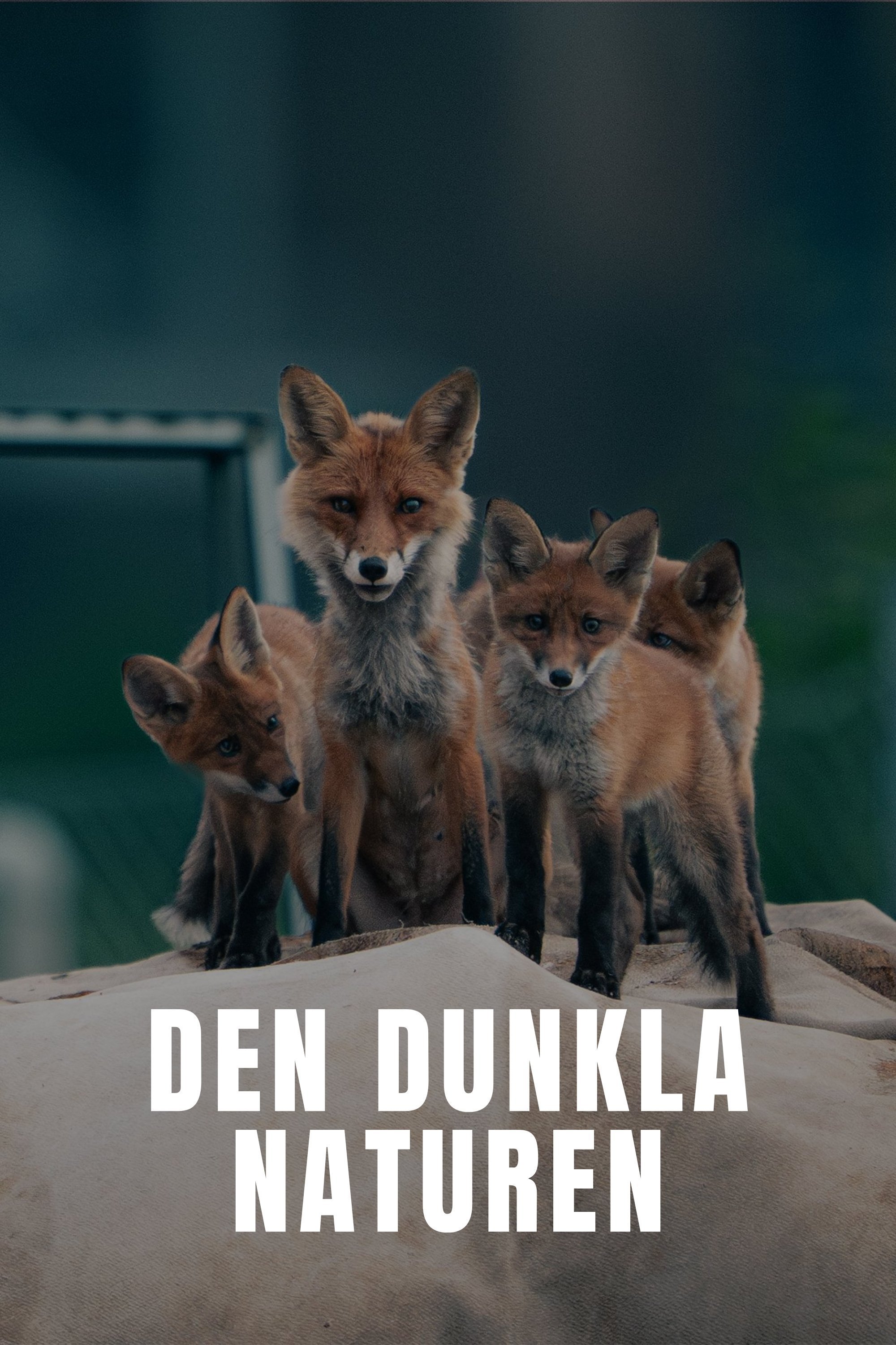 Den dunkla naturen