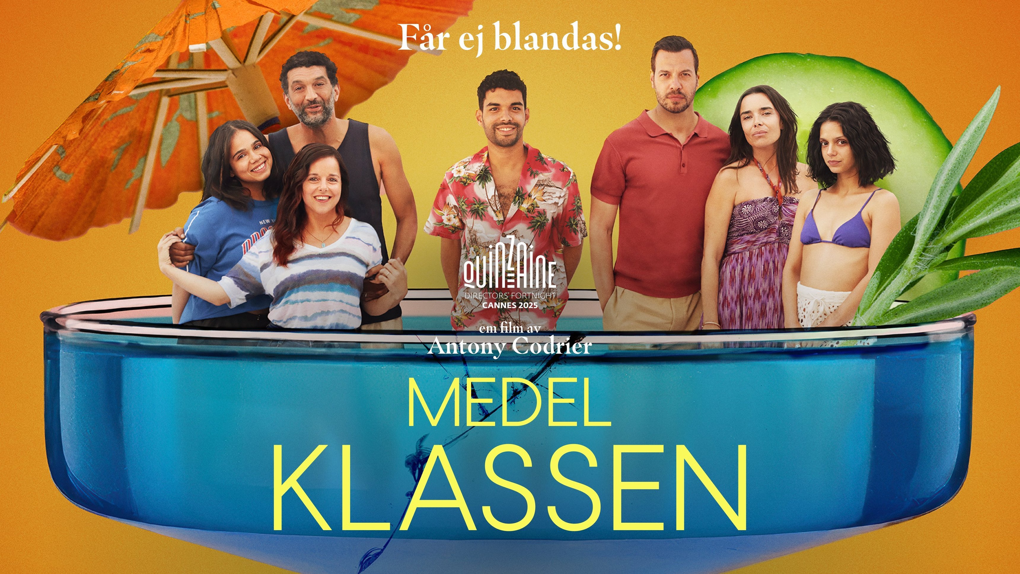 Medelklassen