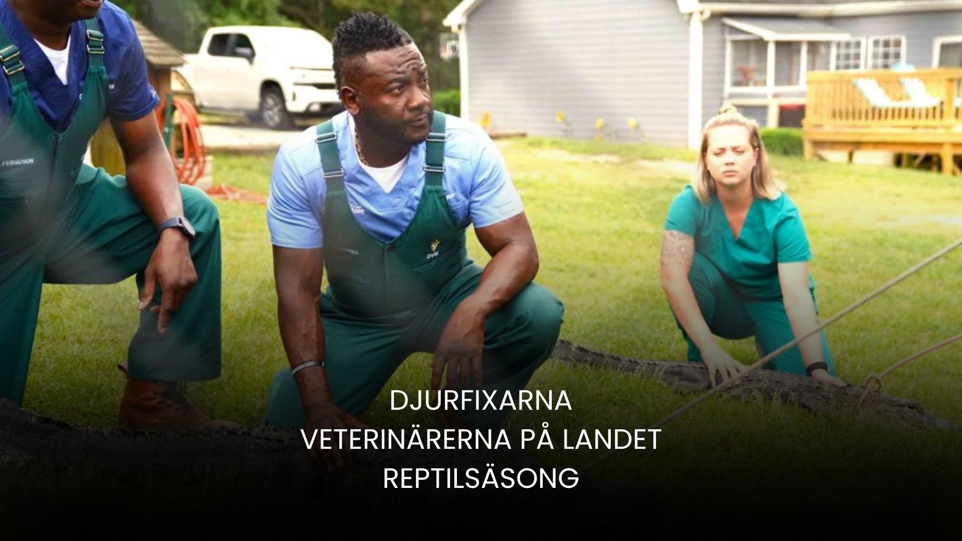 Djurfixarna: Veterinärerna på landet: reptilsäsong 2024