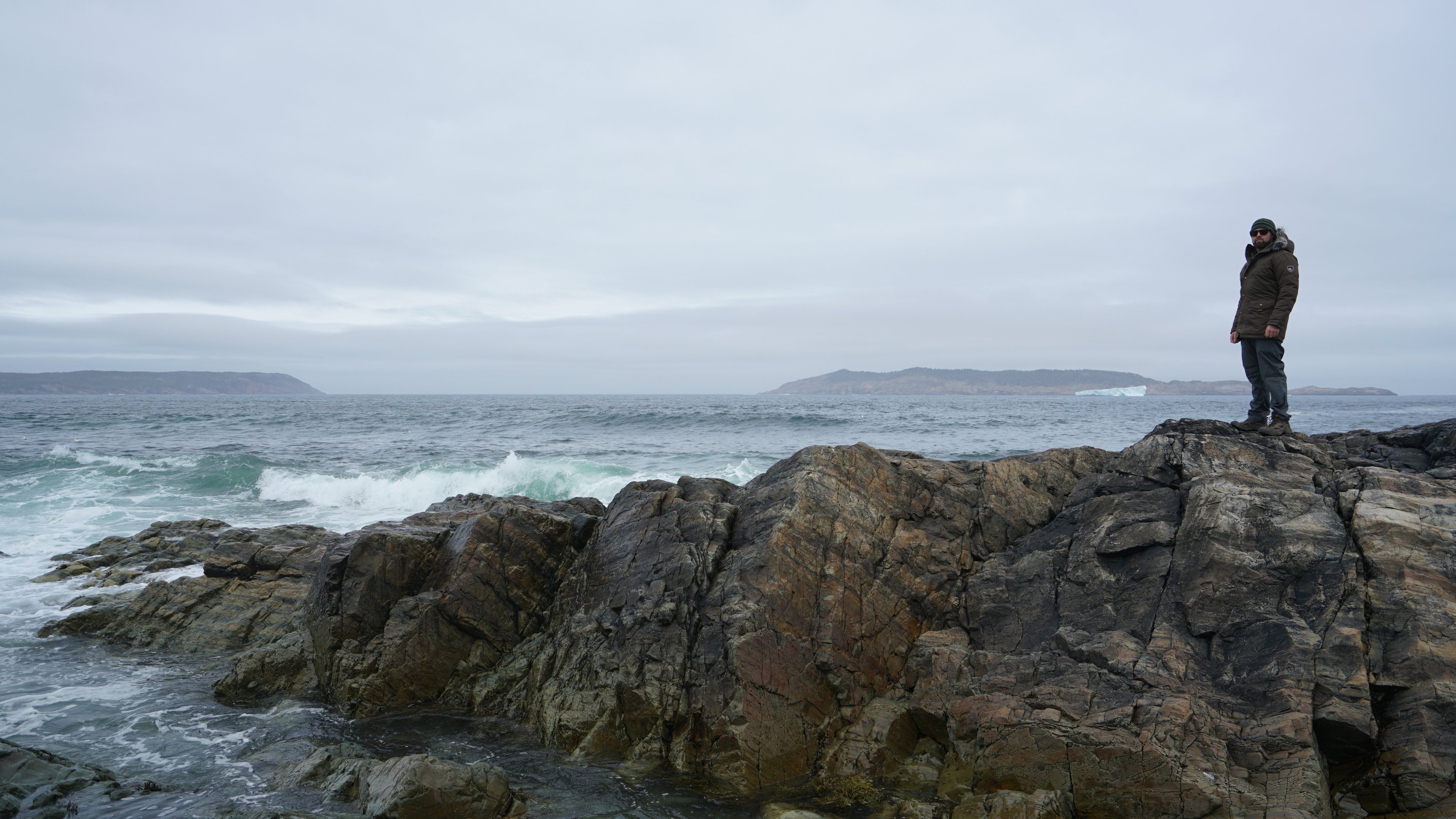 2. White Wolf Of Newfoundland