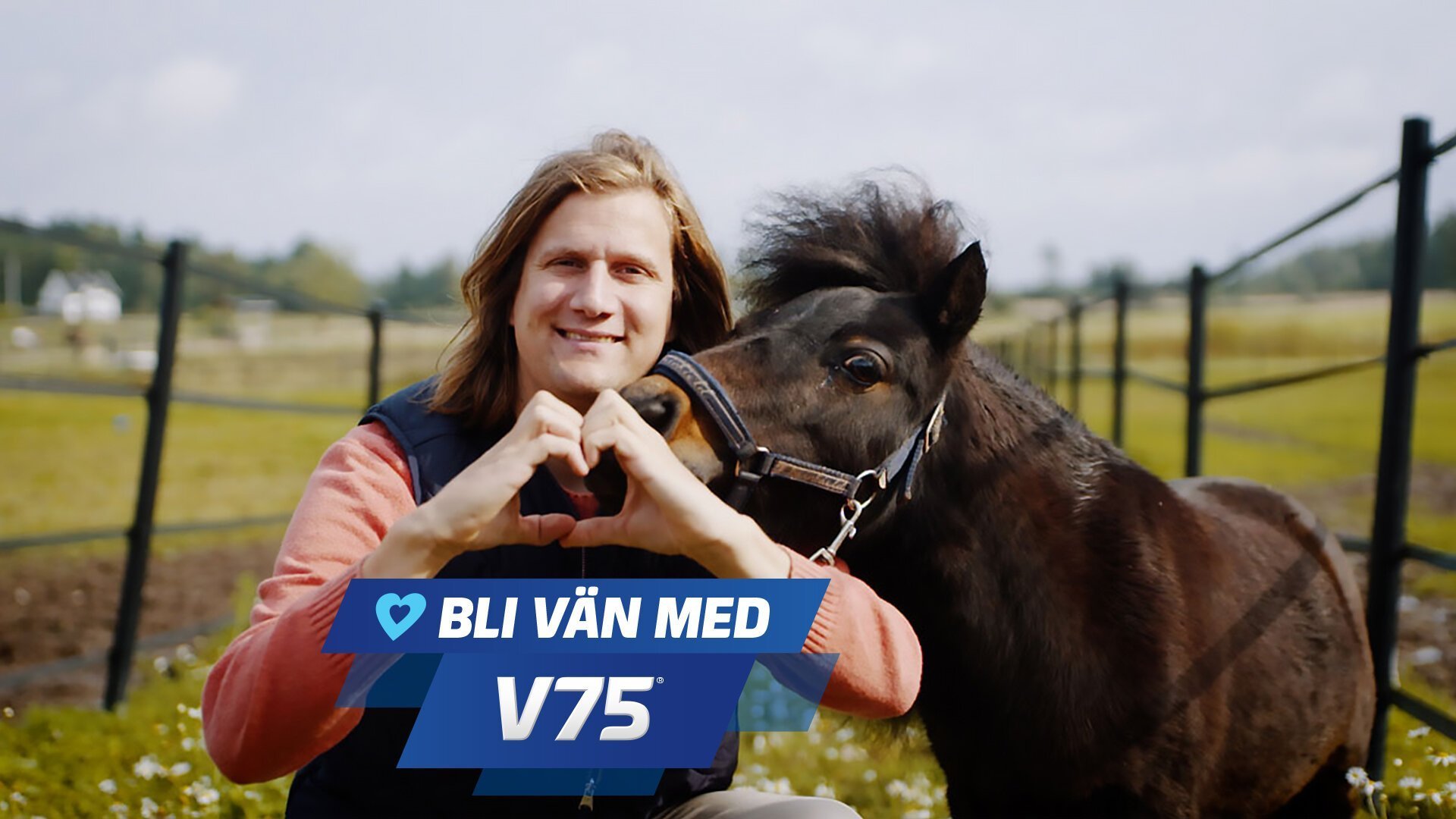 Bli vän med V75