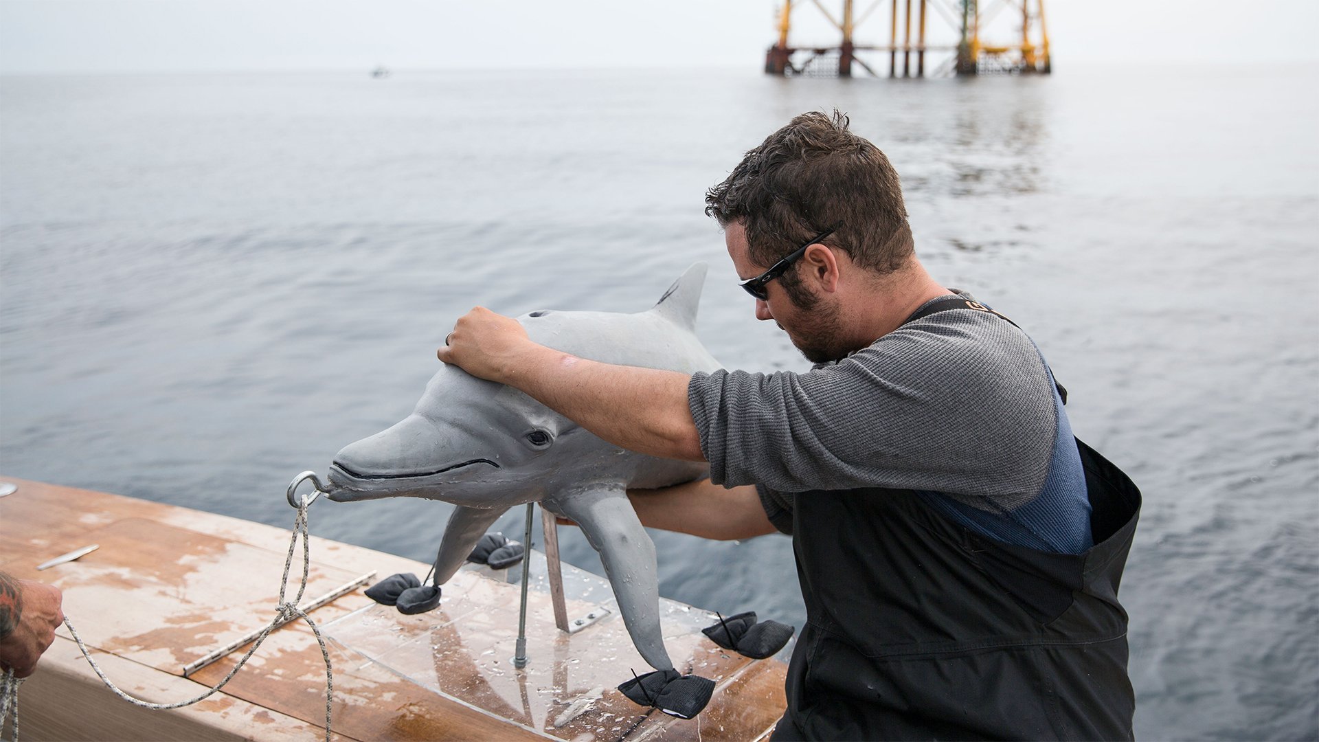 Monster Mako