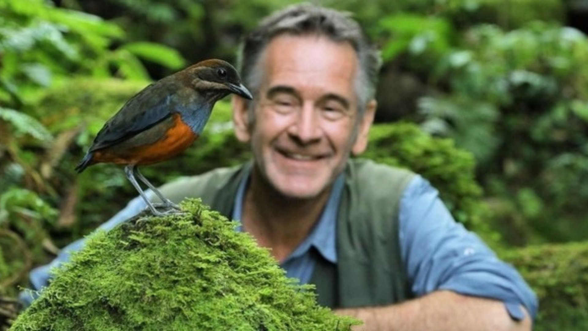 2. Det vilda paradiset