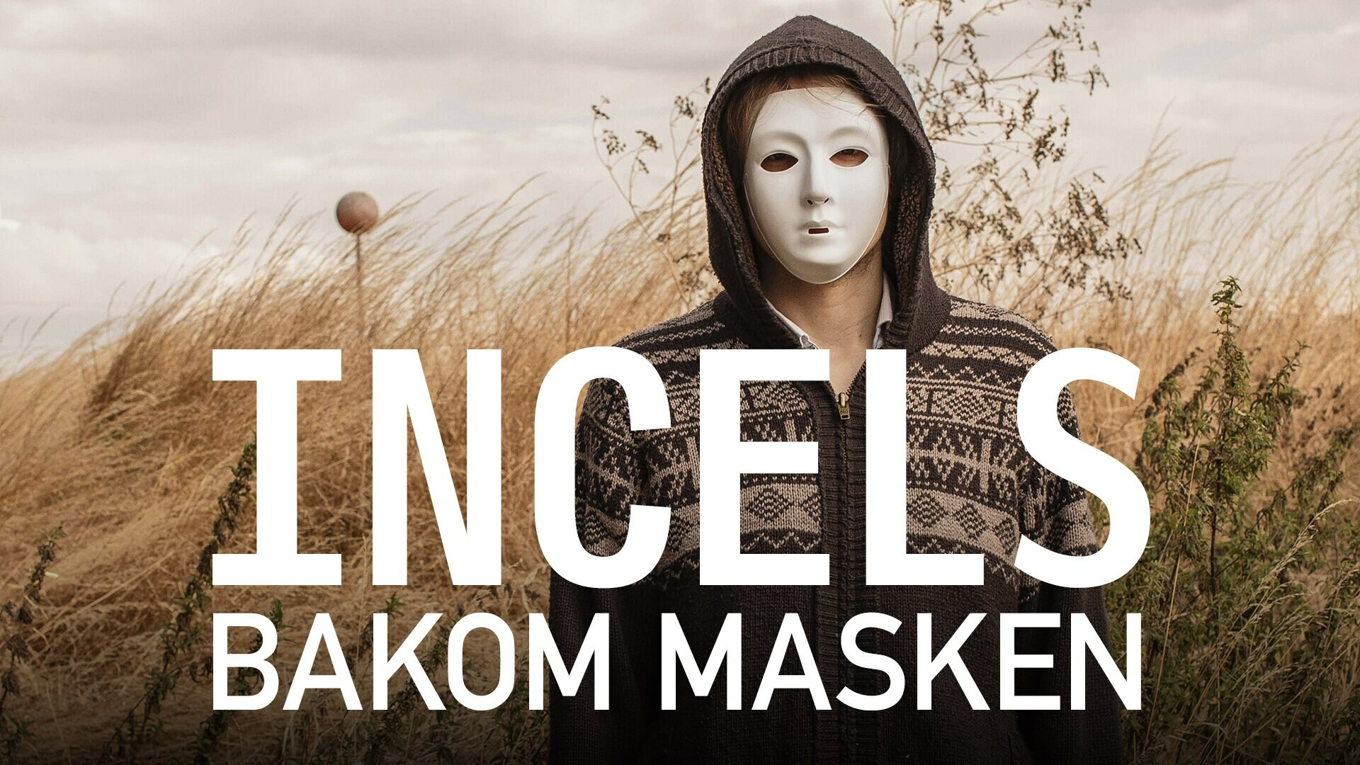 Incels - bakom masken
