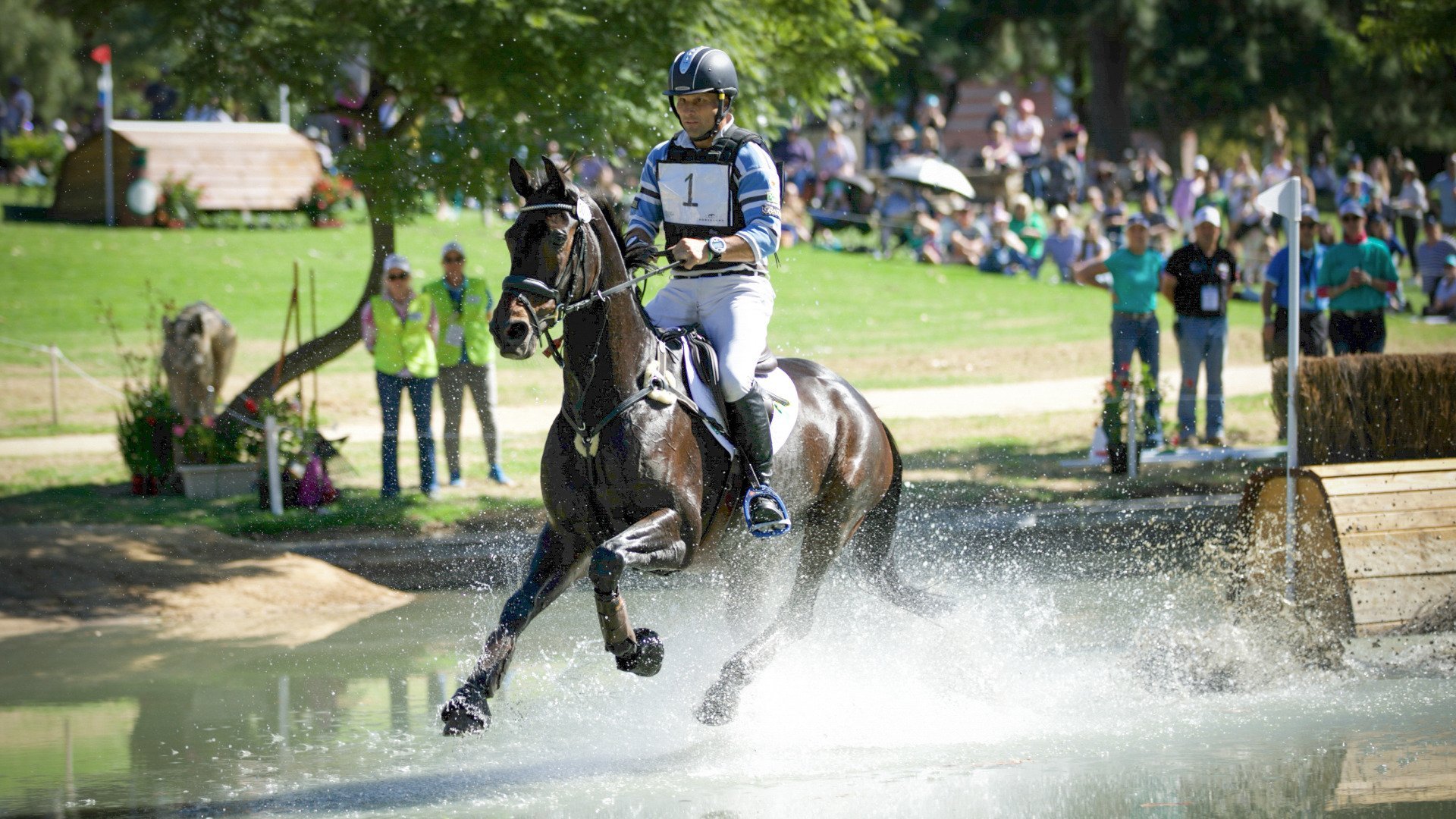 Adelaide Equestrian Festival 2025
