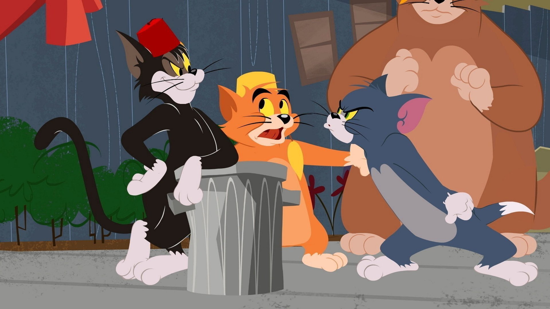 31. Toppkatt