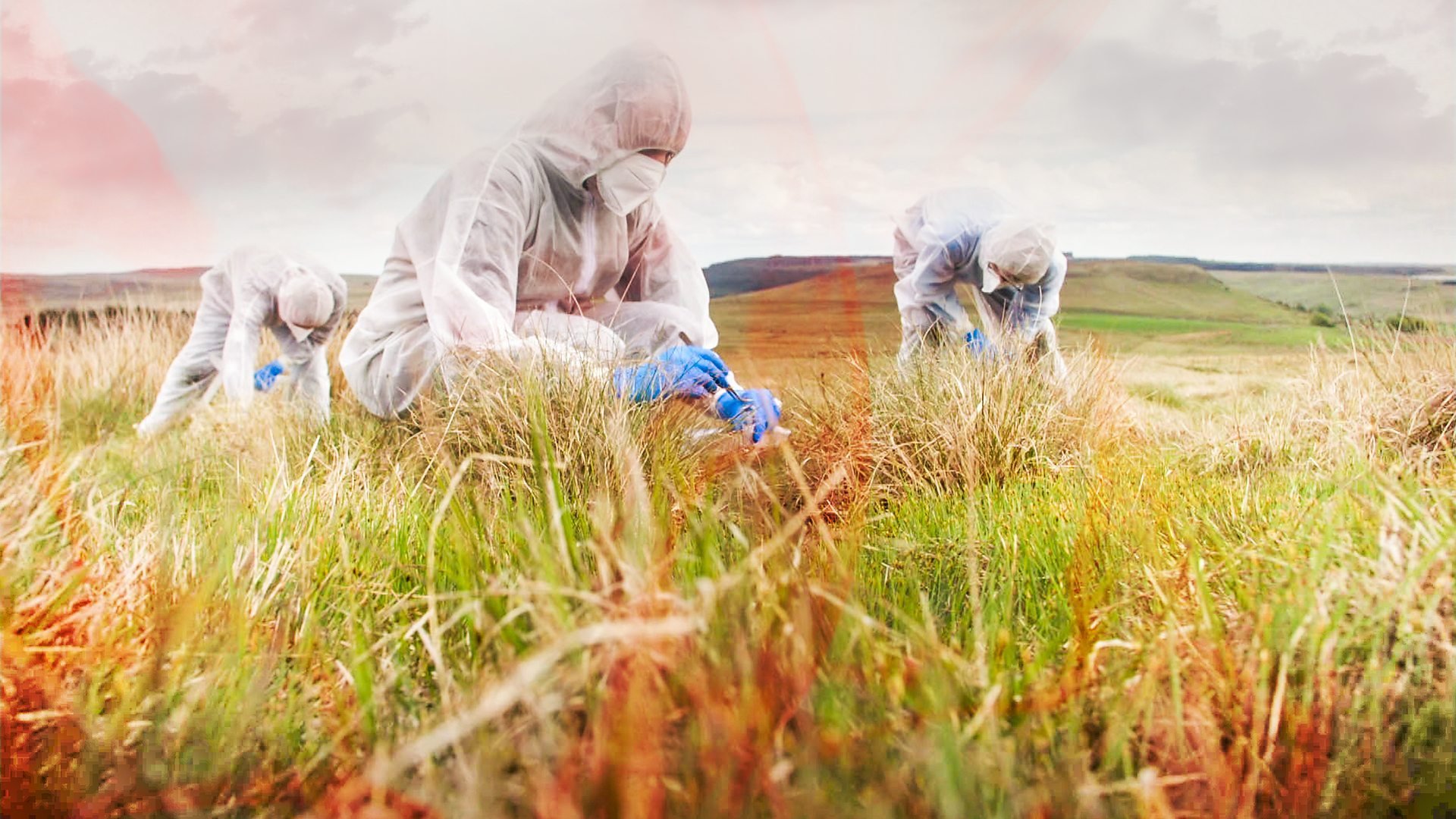 Rätten kallar - Expertvittnena