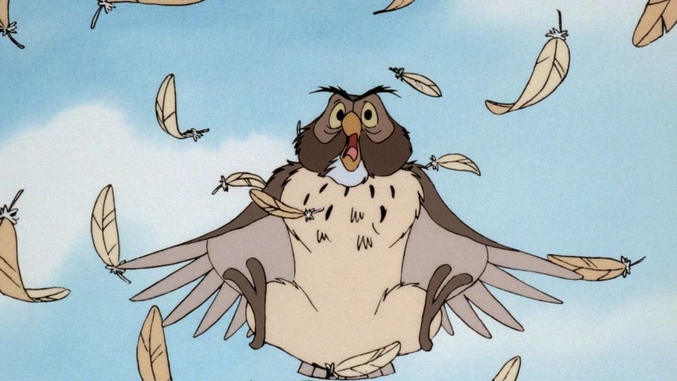 18. My Hero / Owl Feathers