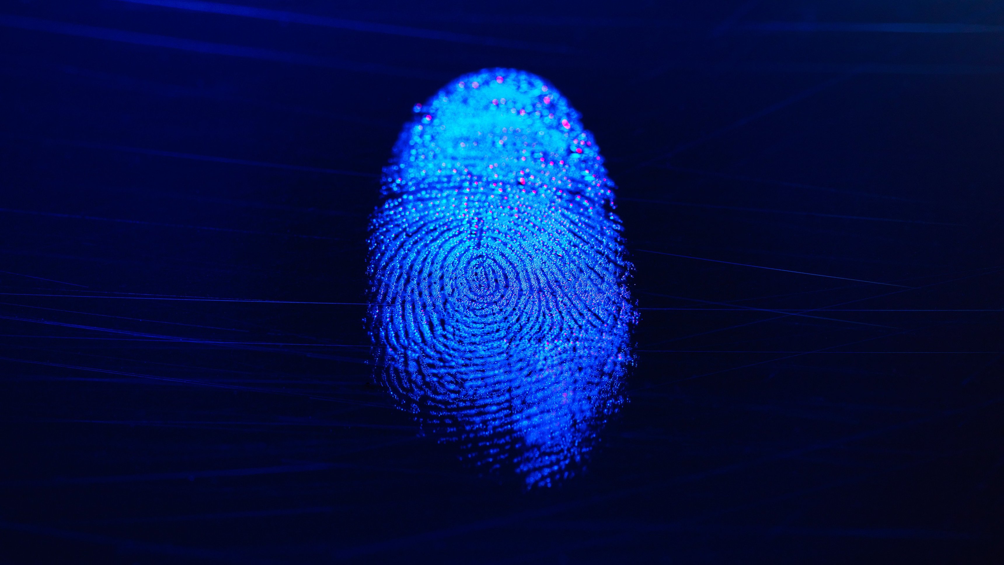 Extreme Forensics