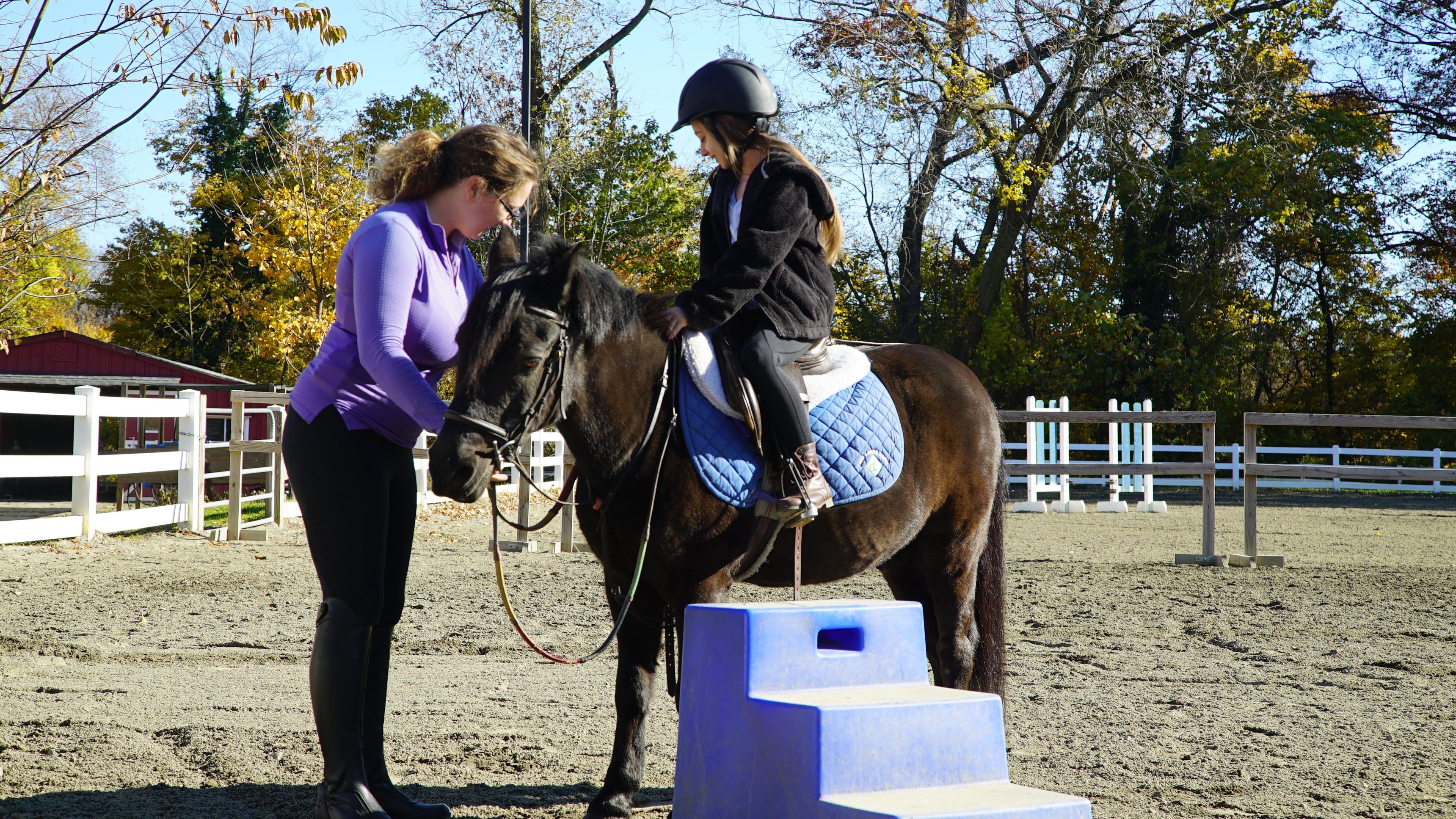 4. Get Off Your High Horse