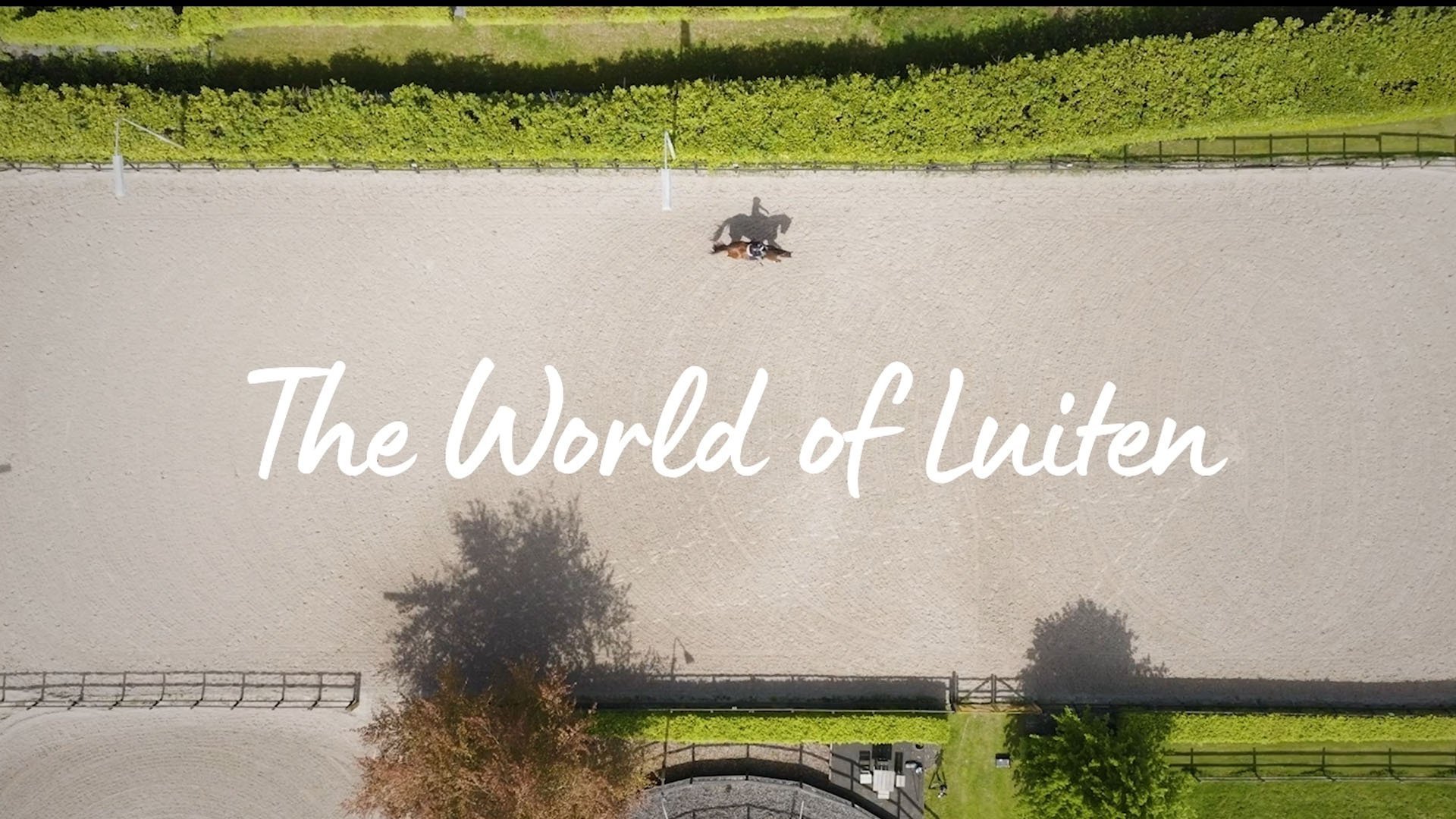 De Wereld Van Luiten