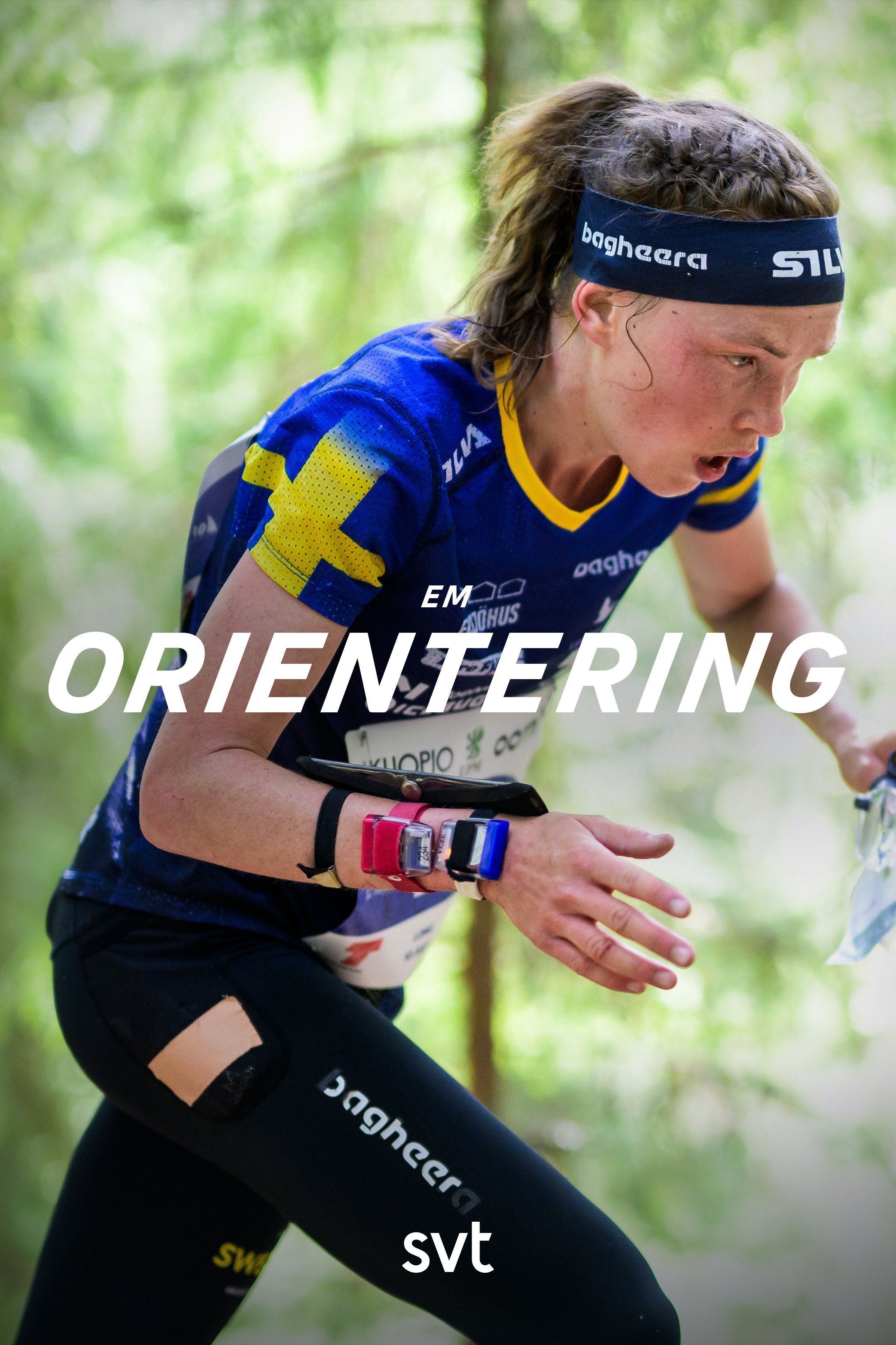 Orientering: EM