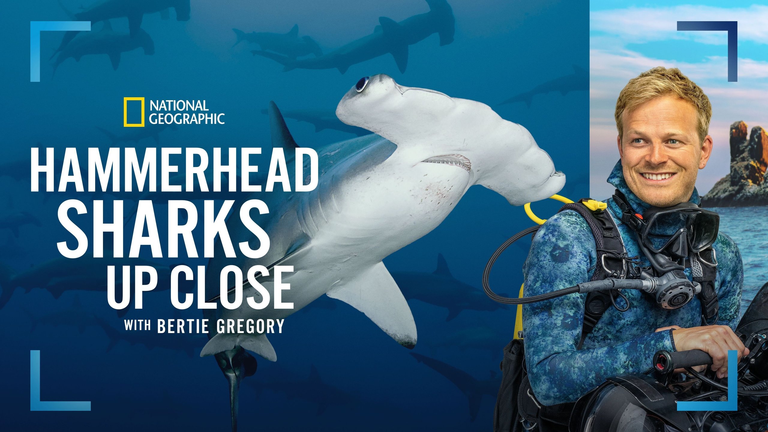 Hammerhead Sharks Up Close with Bertie Gregory